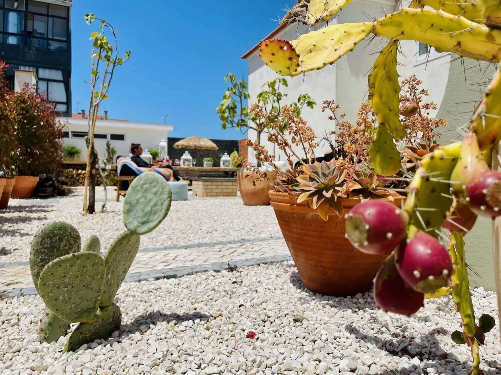 Patio in REFÚGIO DOURADO