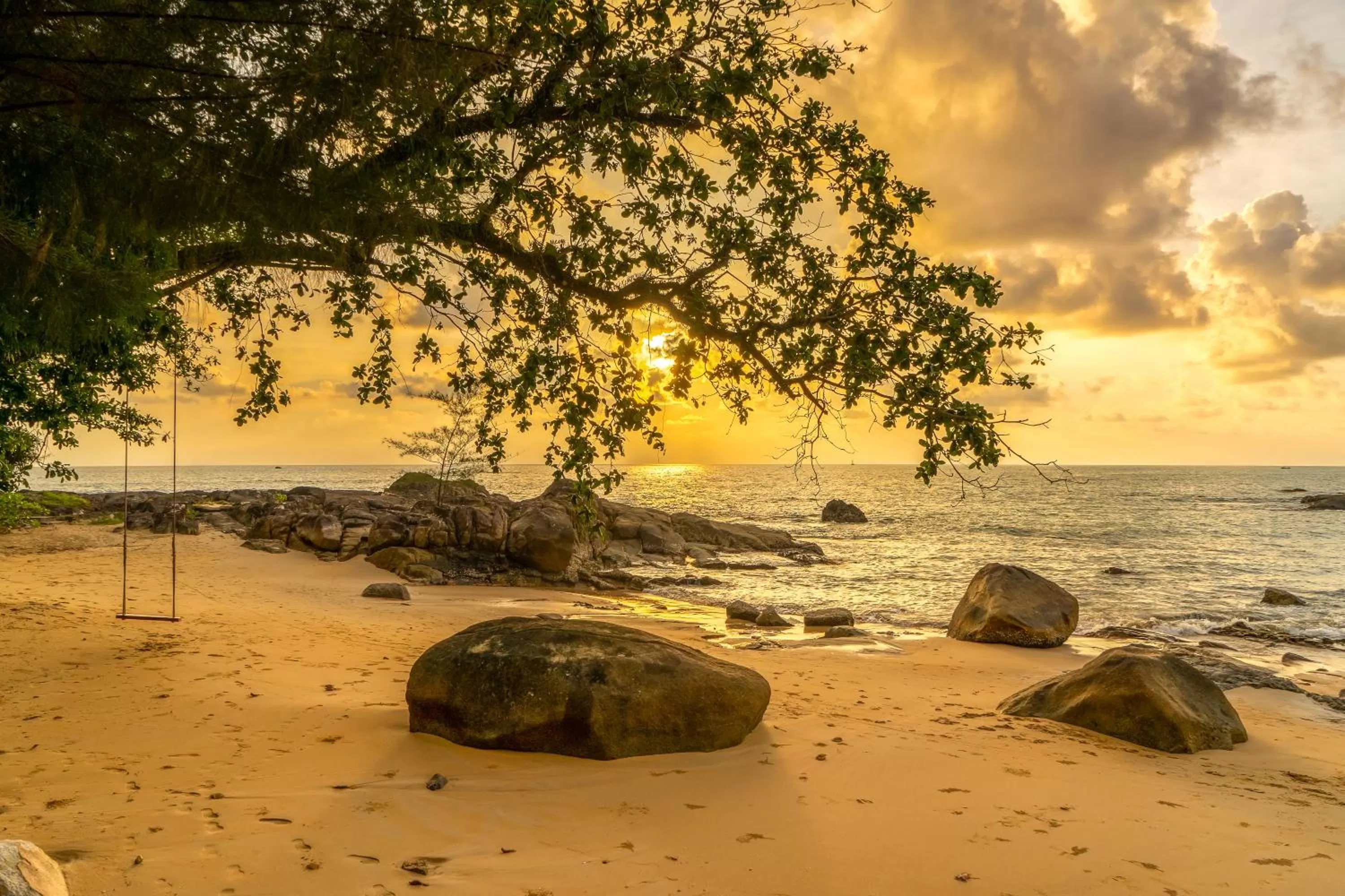 Sea view, Beach in TUI BLUE Khao Lak Resort - SHA Plus