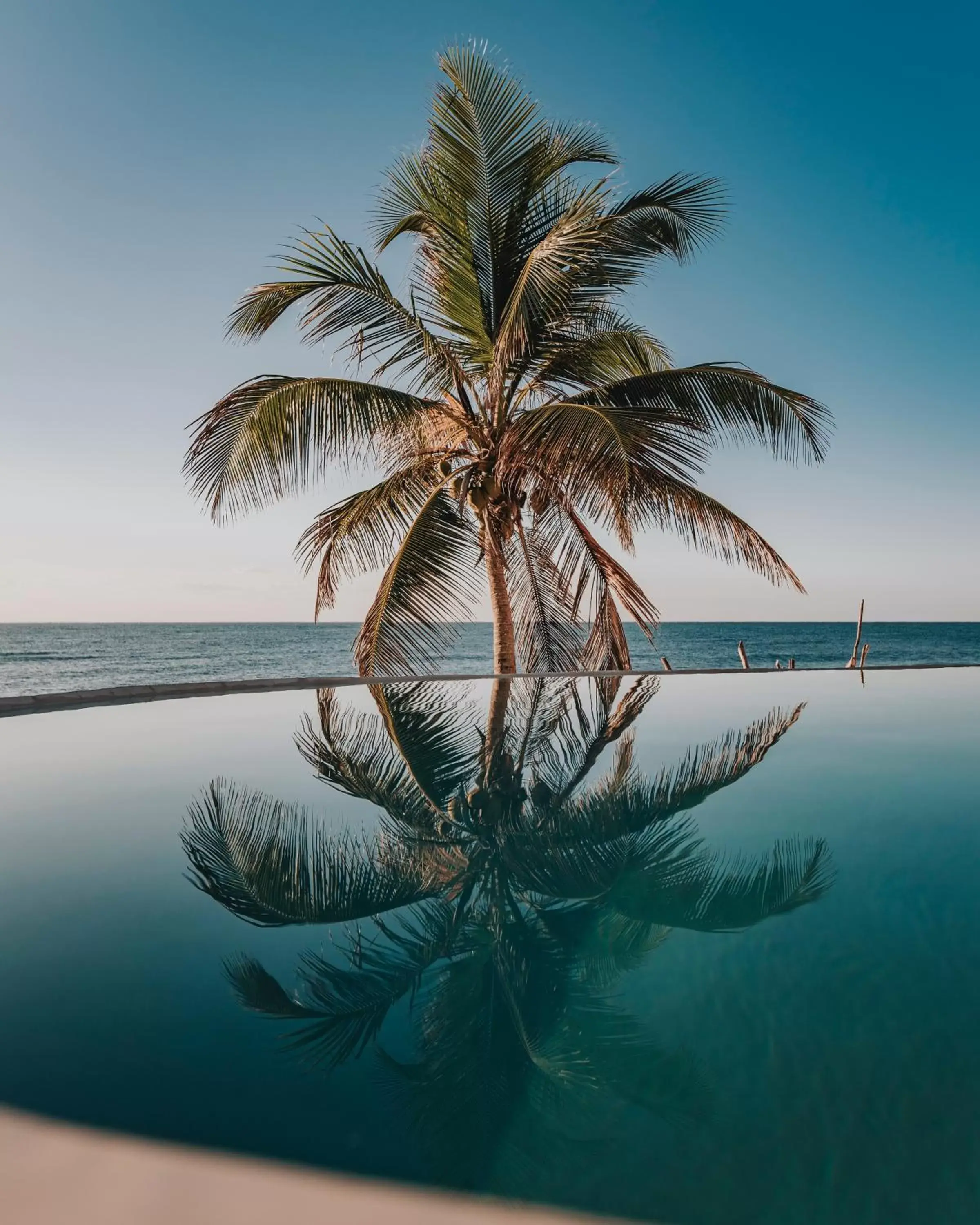 Pool view, Swimming Pool in Papaya Playa Project