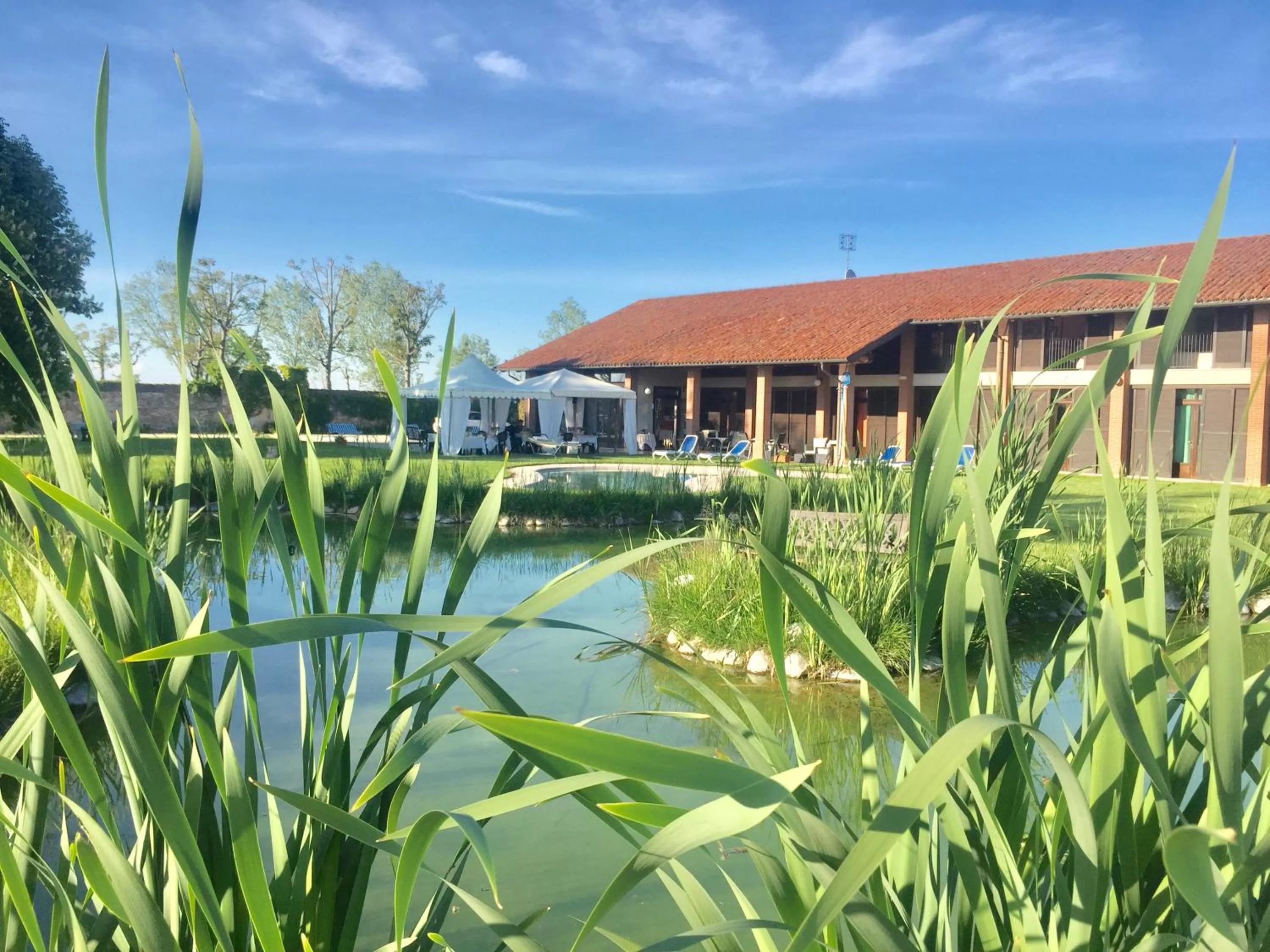 Garden in Albergo Cosmera