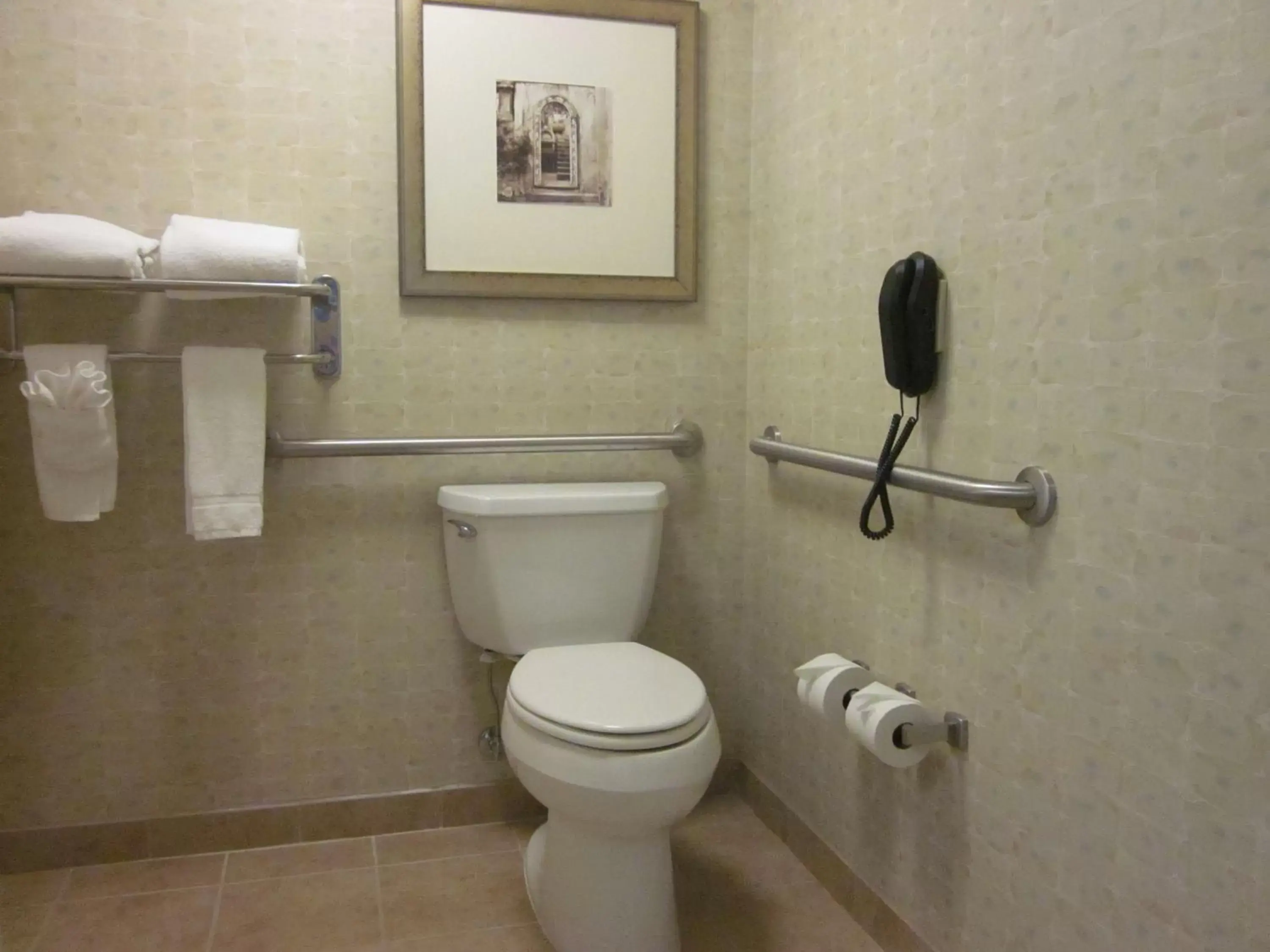 Bathroom in Hilton Garden Inn Omaha East/Council Bluffs