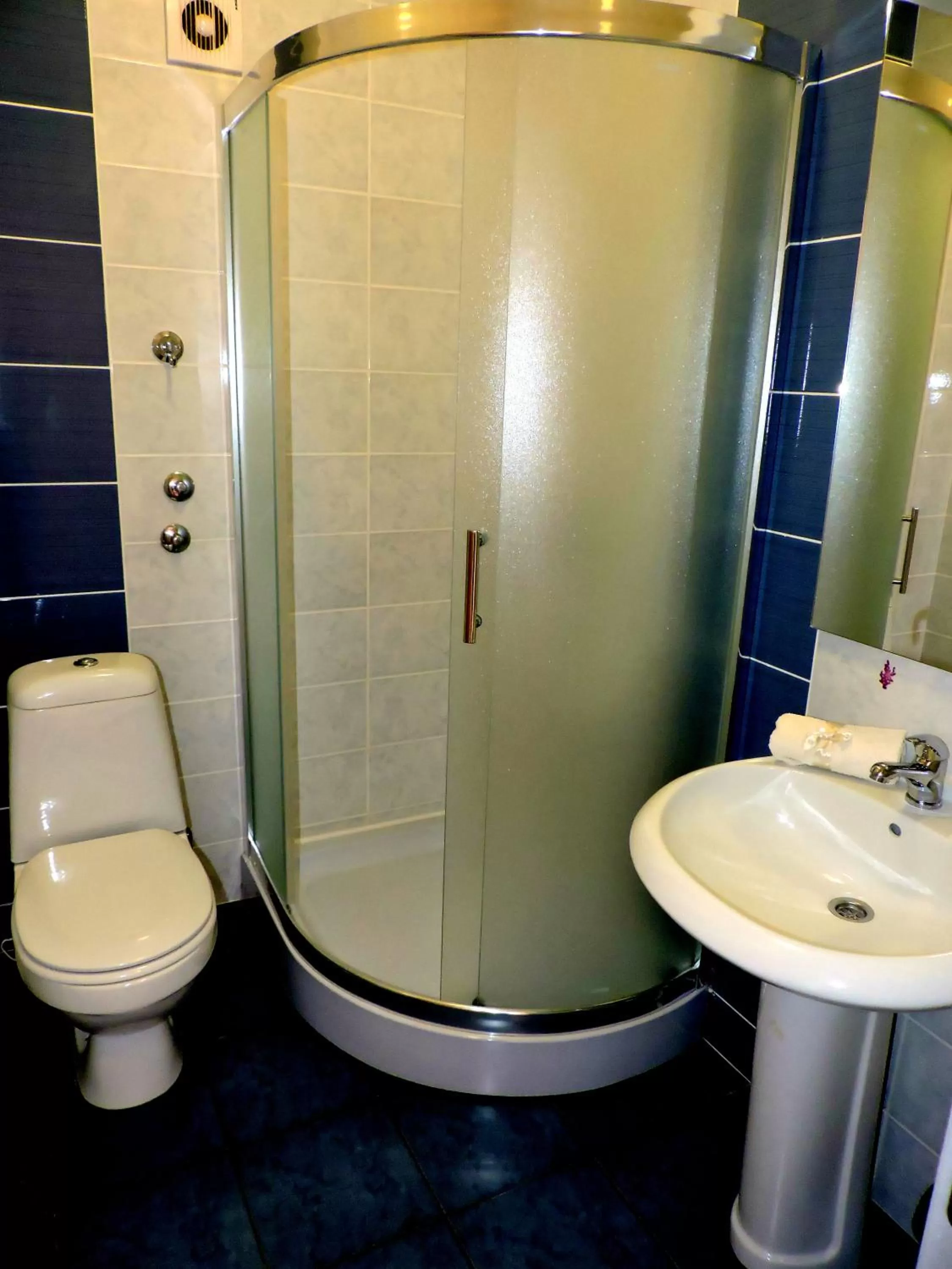 Shower in B&B Zmajevo Gnezdo 021