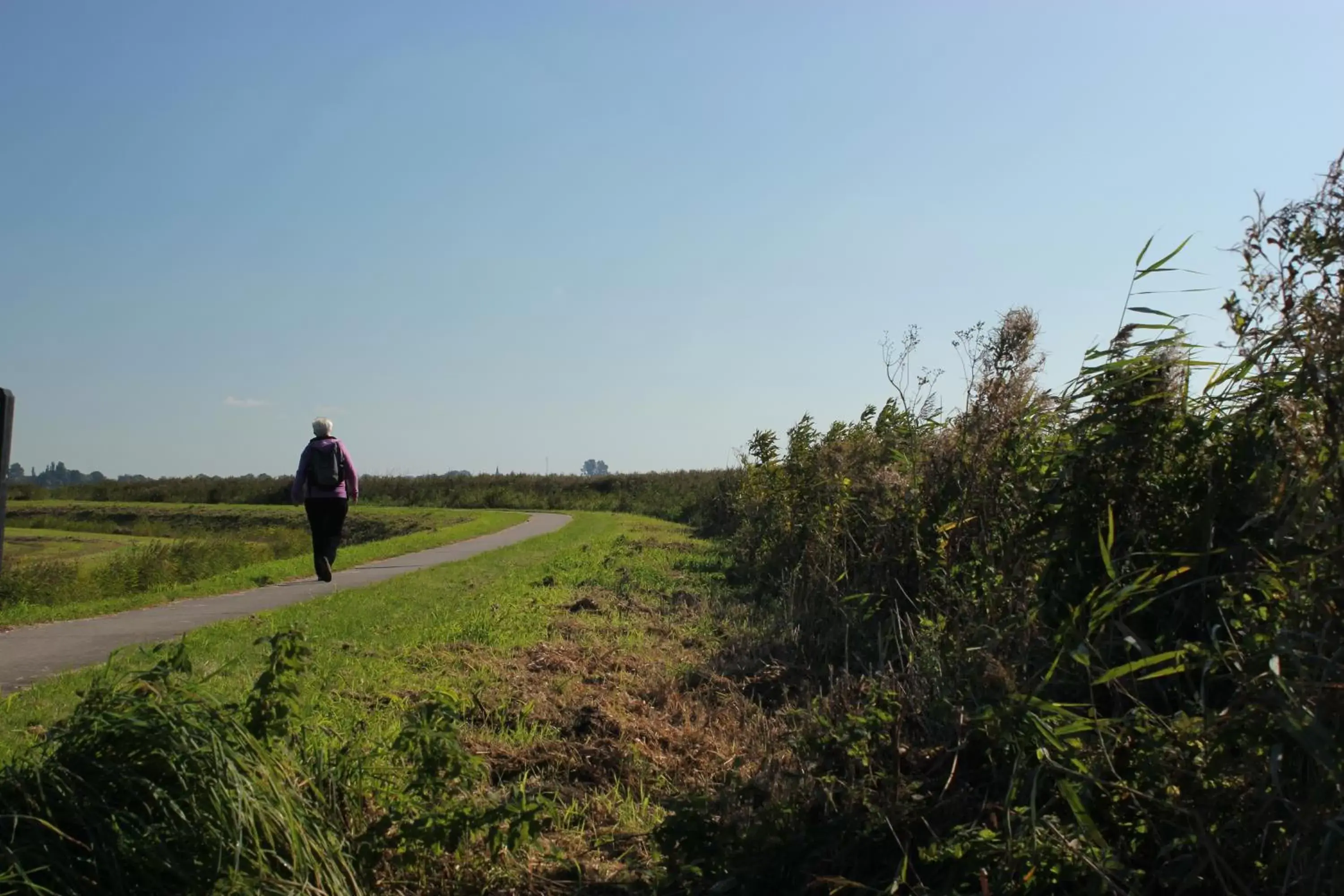 Hiking in B&B Welgelegen