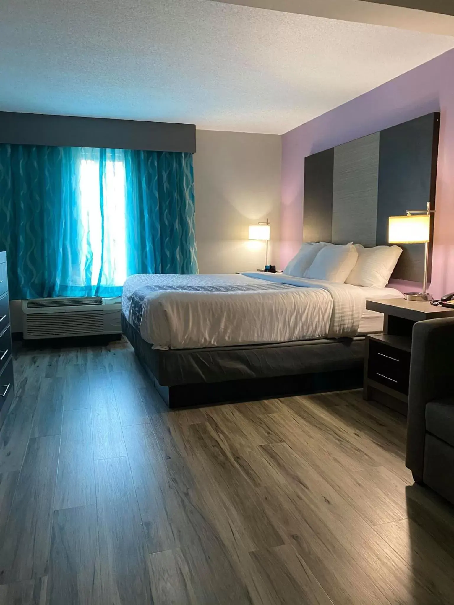 Standard Room King Bed in La Quinta by Wyndham Clarksville Standard Room King Bed in La Quinta by Wyndham Clarksville