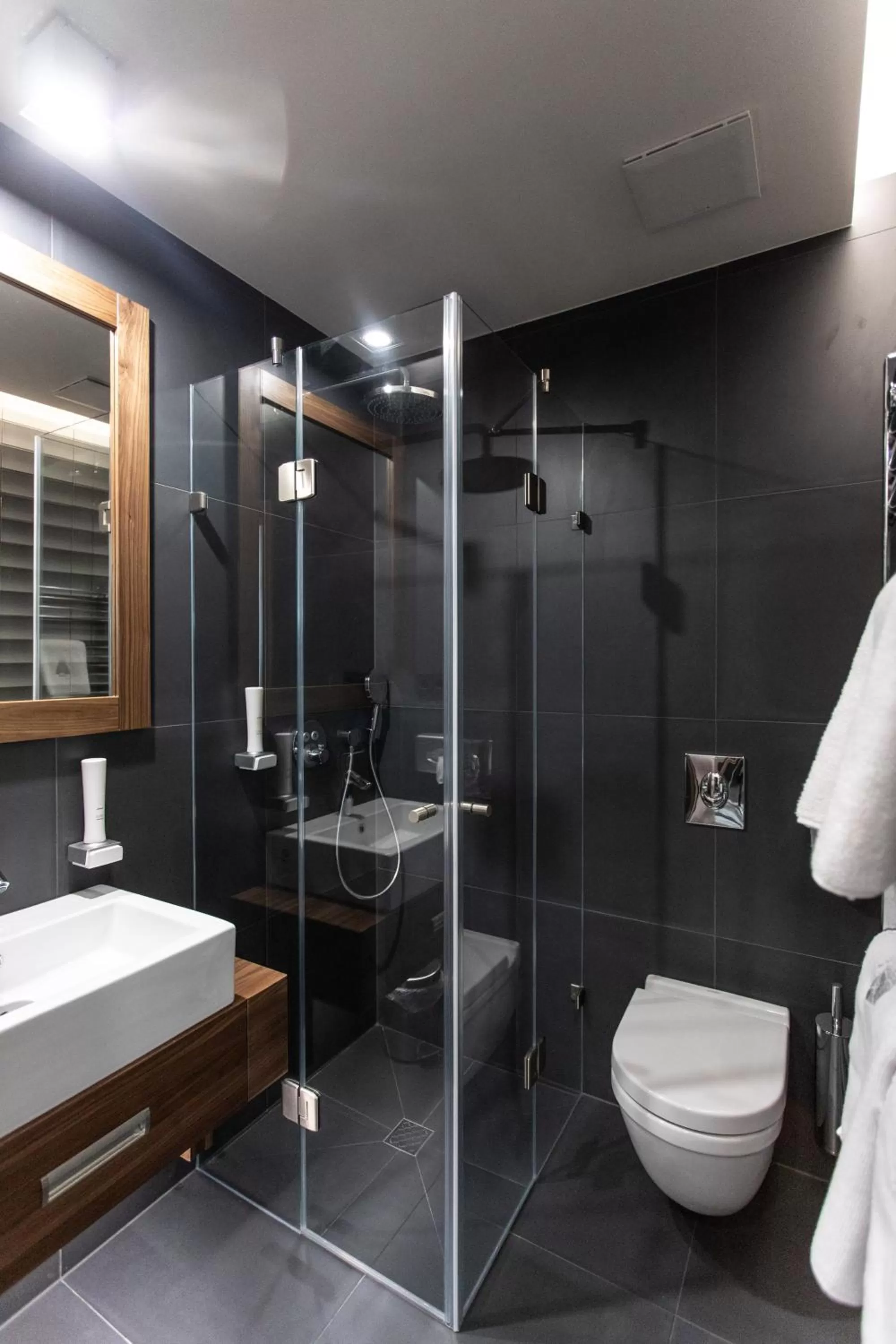 Shower in Artis Boutique Hotel