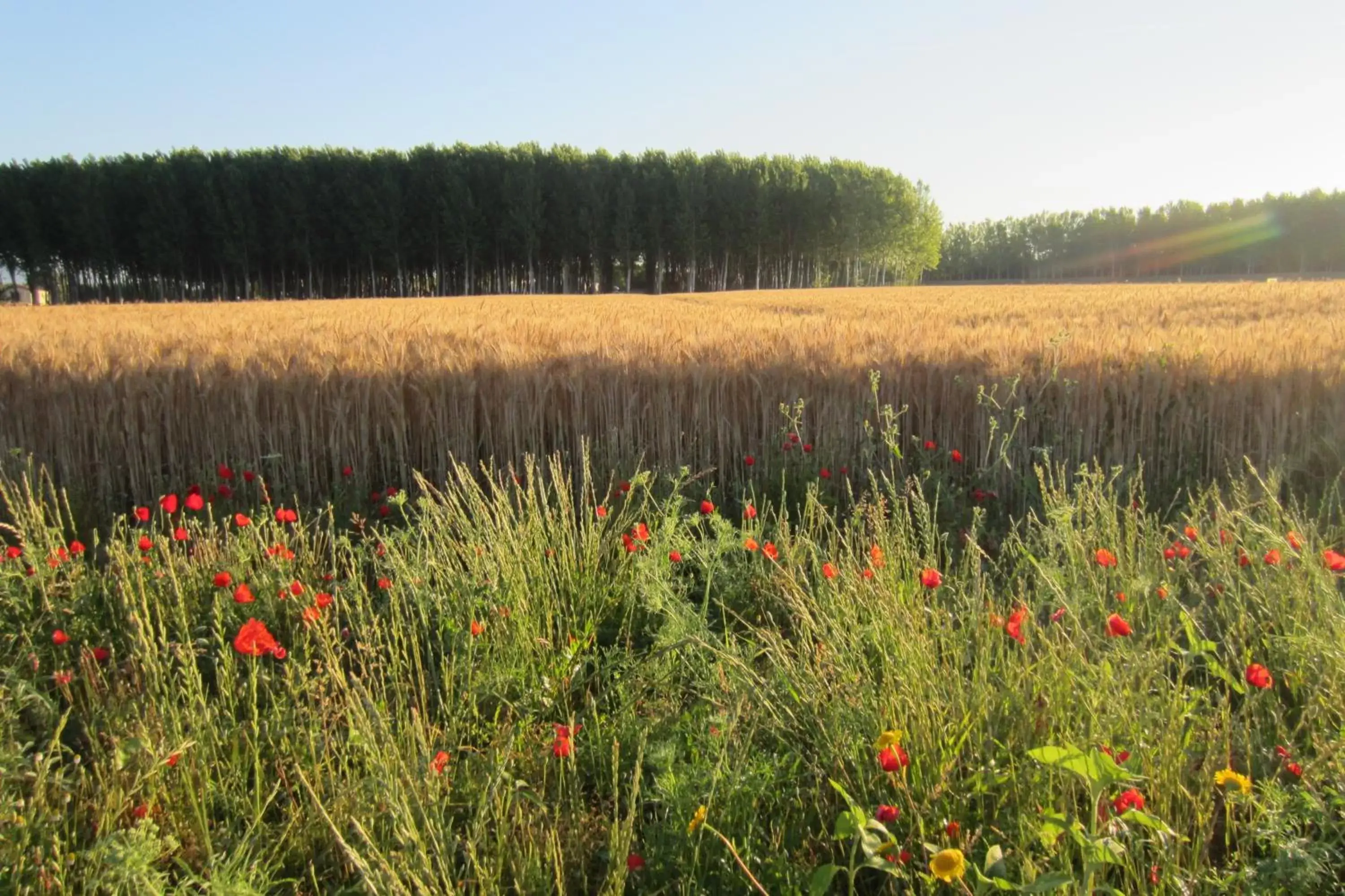 Day, Natural Landscape in Le Colombaie Country Resort