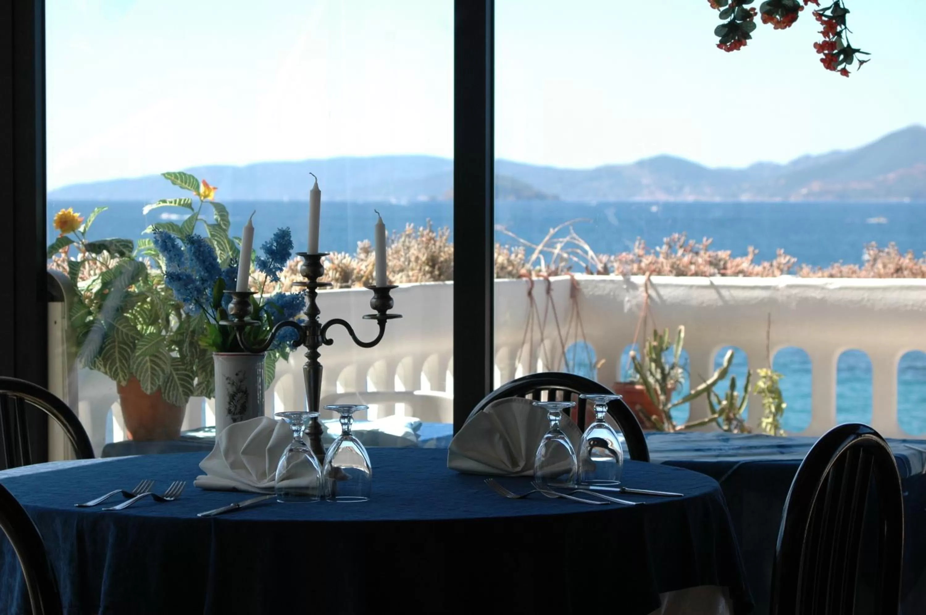 Restaurant/places to eat in Hotel Esperia