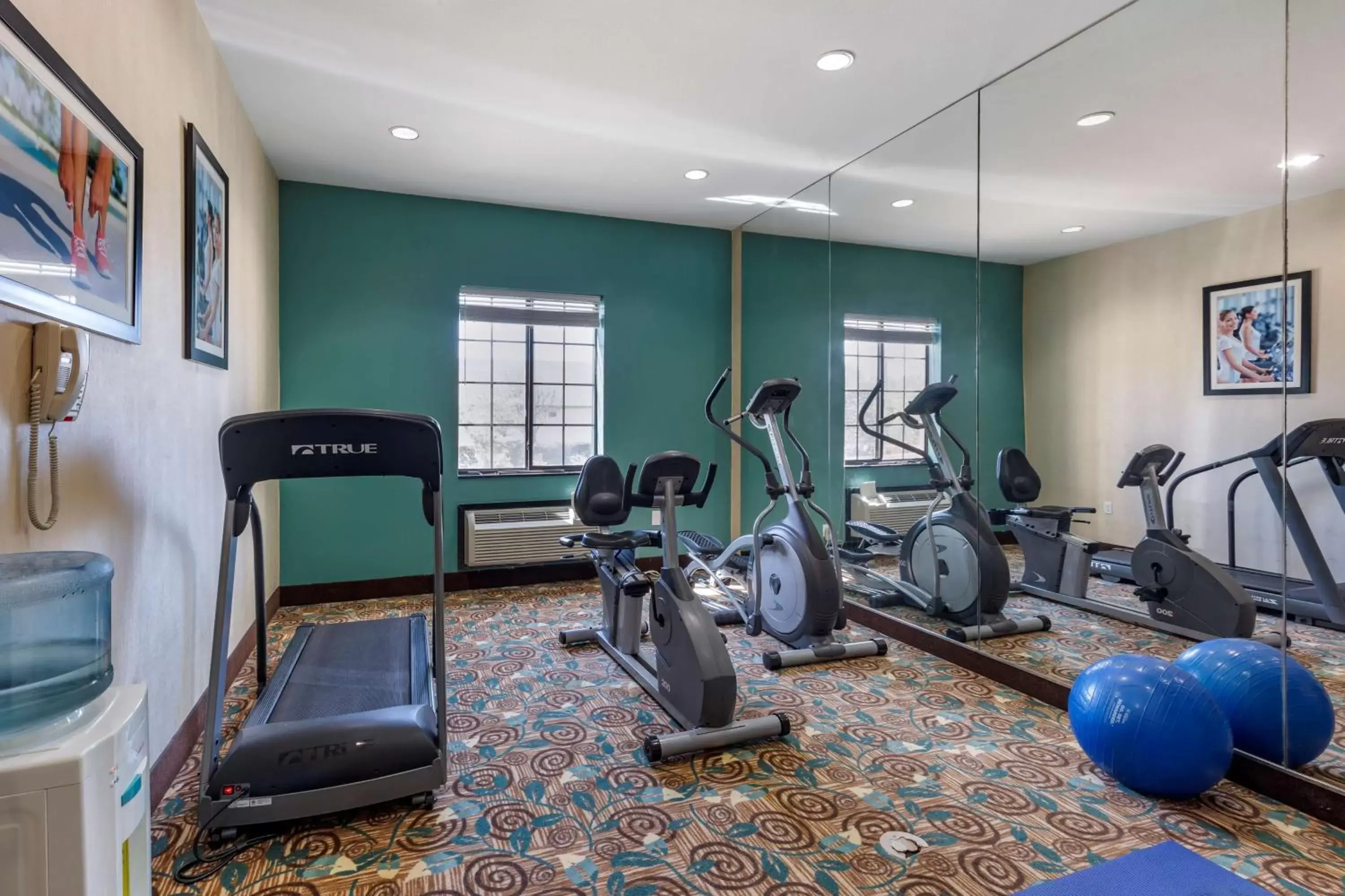 Spa and wellness centre/facilities, Fitness Center/Facilities in Best Western Mineola Inn