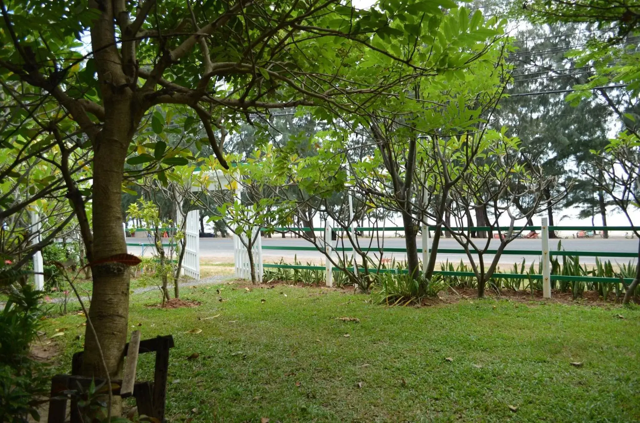 Day in Makmai Villa - Rayong Day in Makmai Villa - Rayong