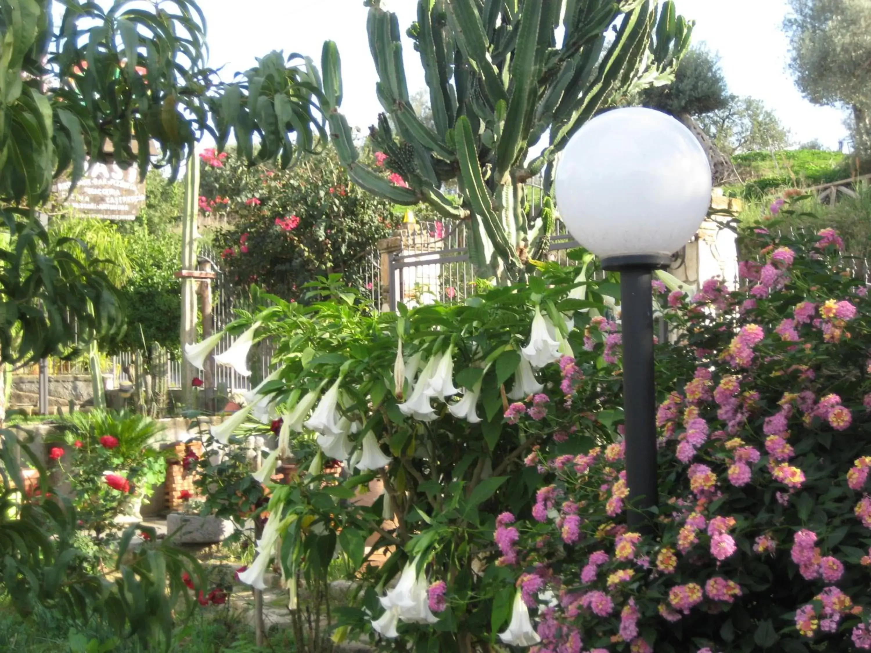 Garden in Oasi del Lago