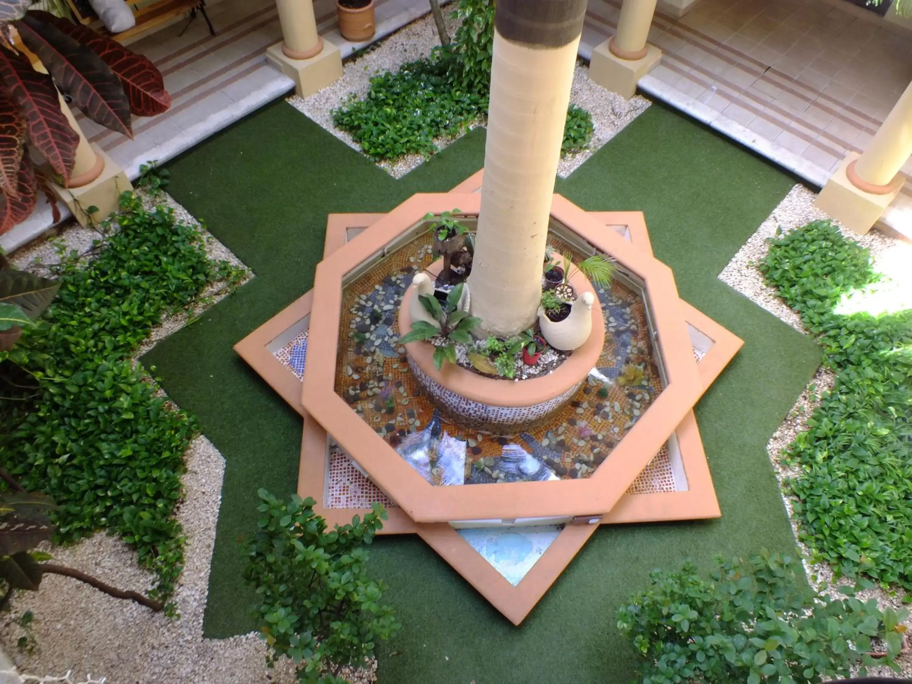 Garden in Gran SAHARA