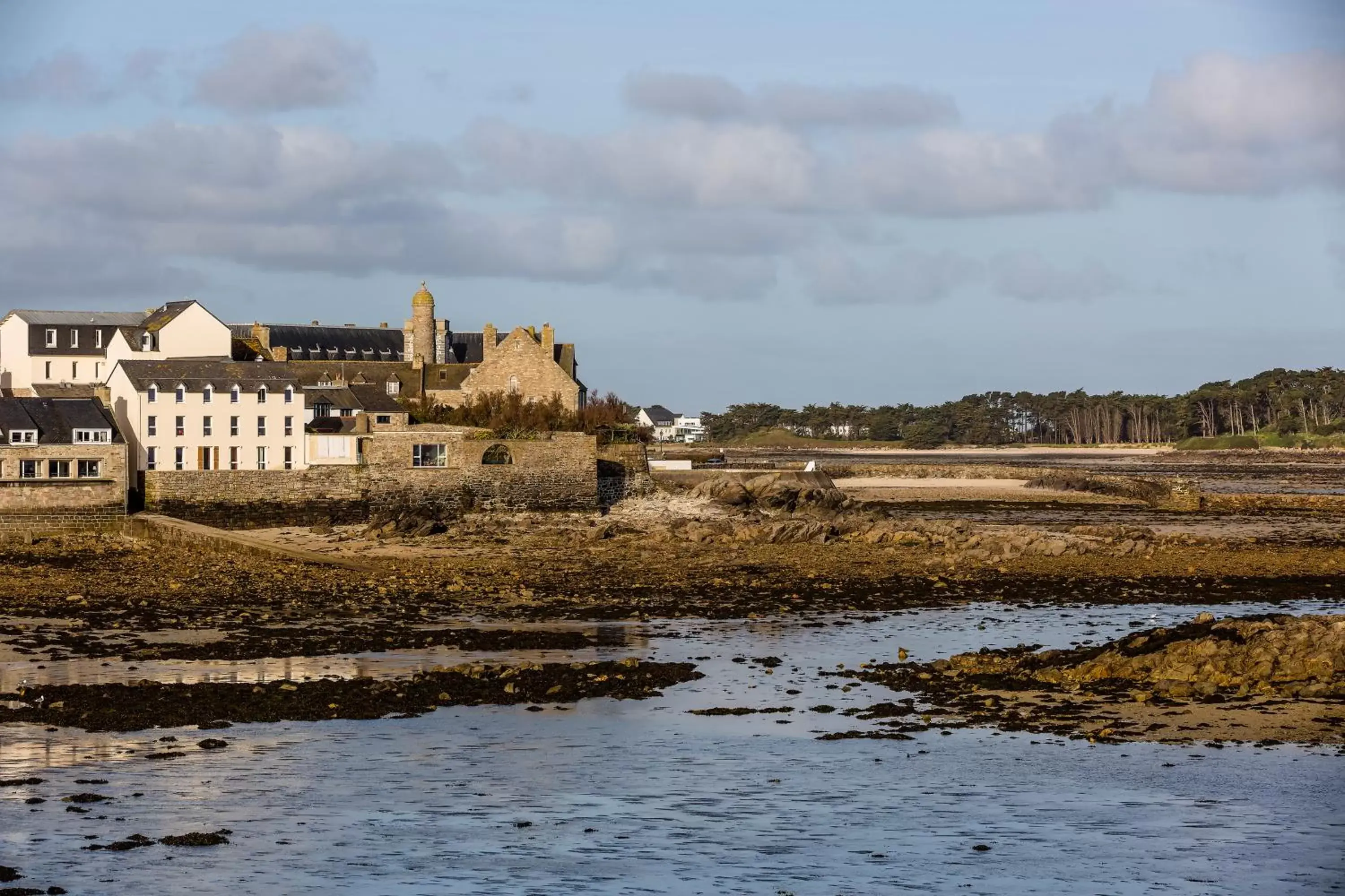 Spring in ibis Roscoff