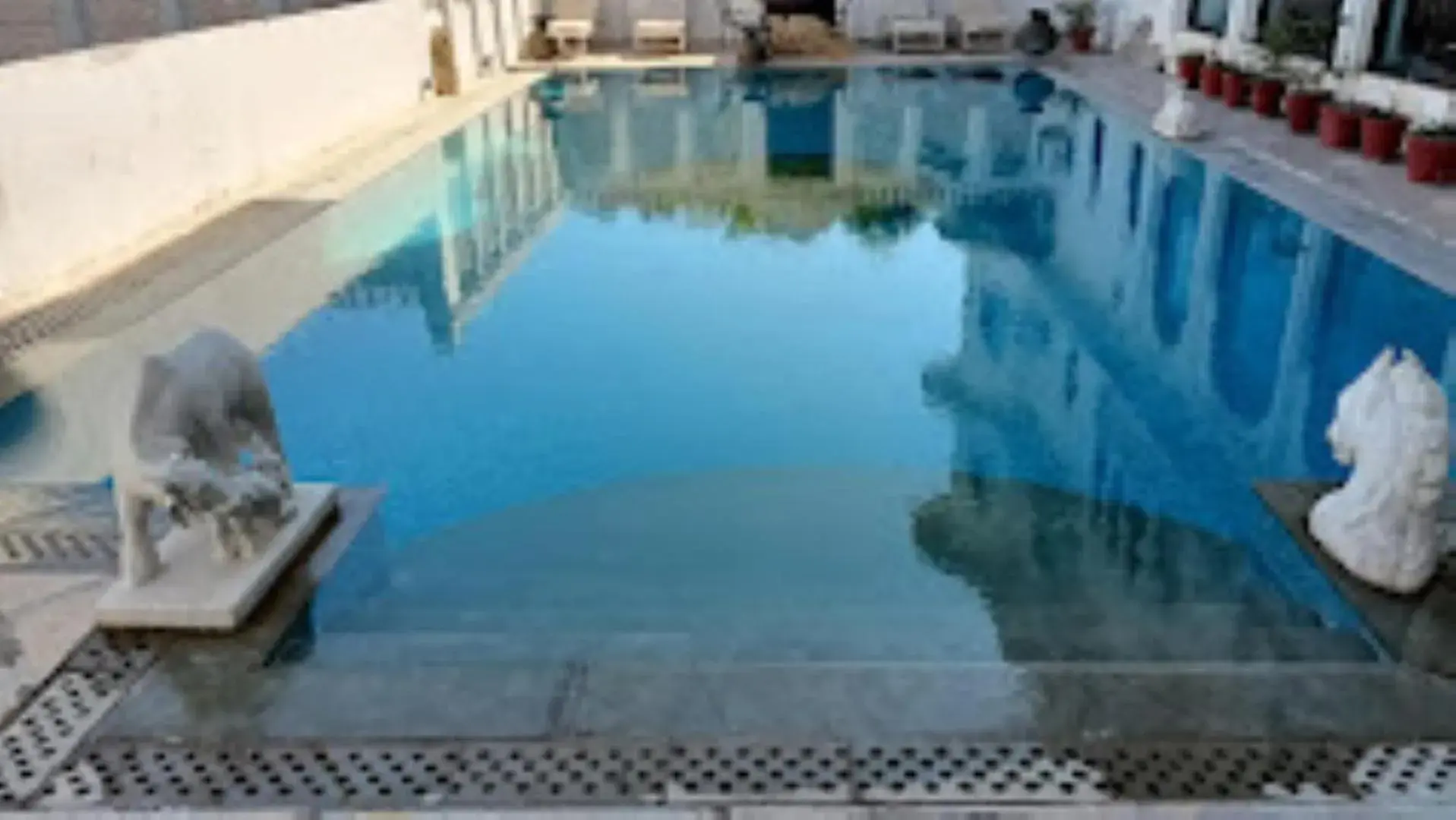 Pool view, Swimming Pool in Karohi Haveli