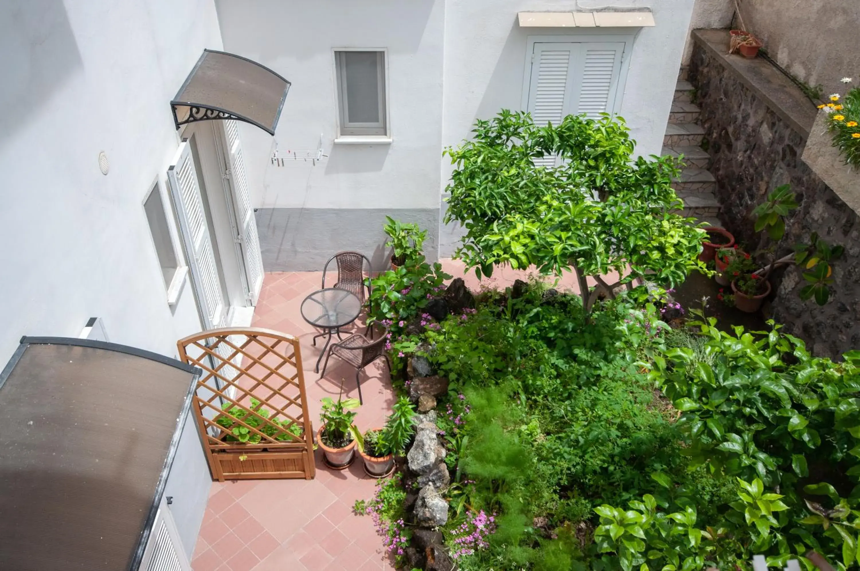 Garden view, Property Building in Hotel Villa Cecilia