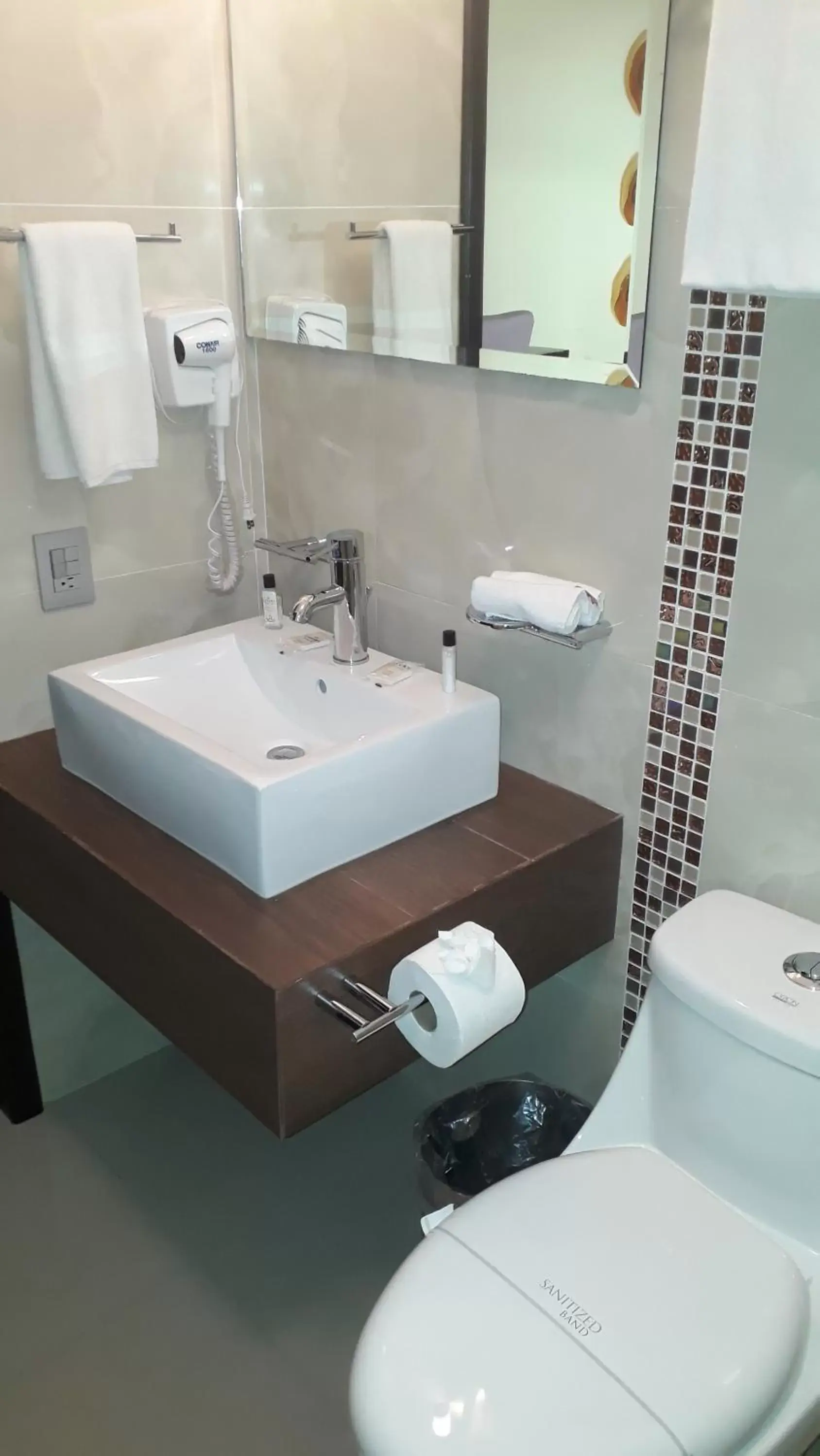 Toilet, Bathroom in Luxury Hotel Inn