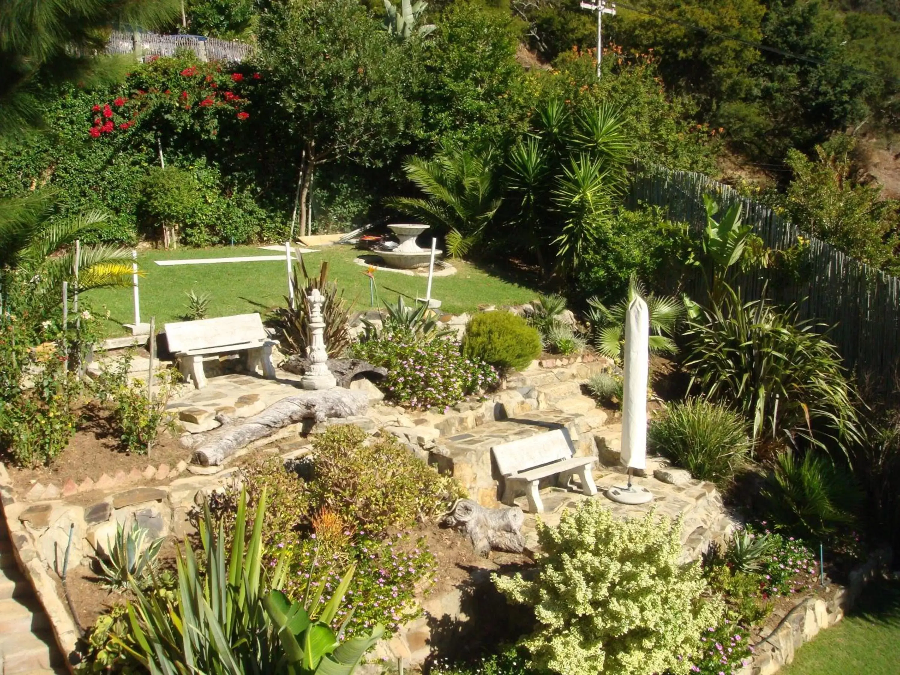 Garden, Bird's-eye View in Signal Hill Lodge