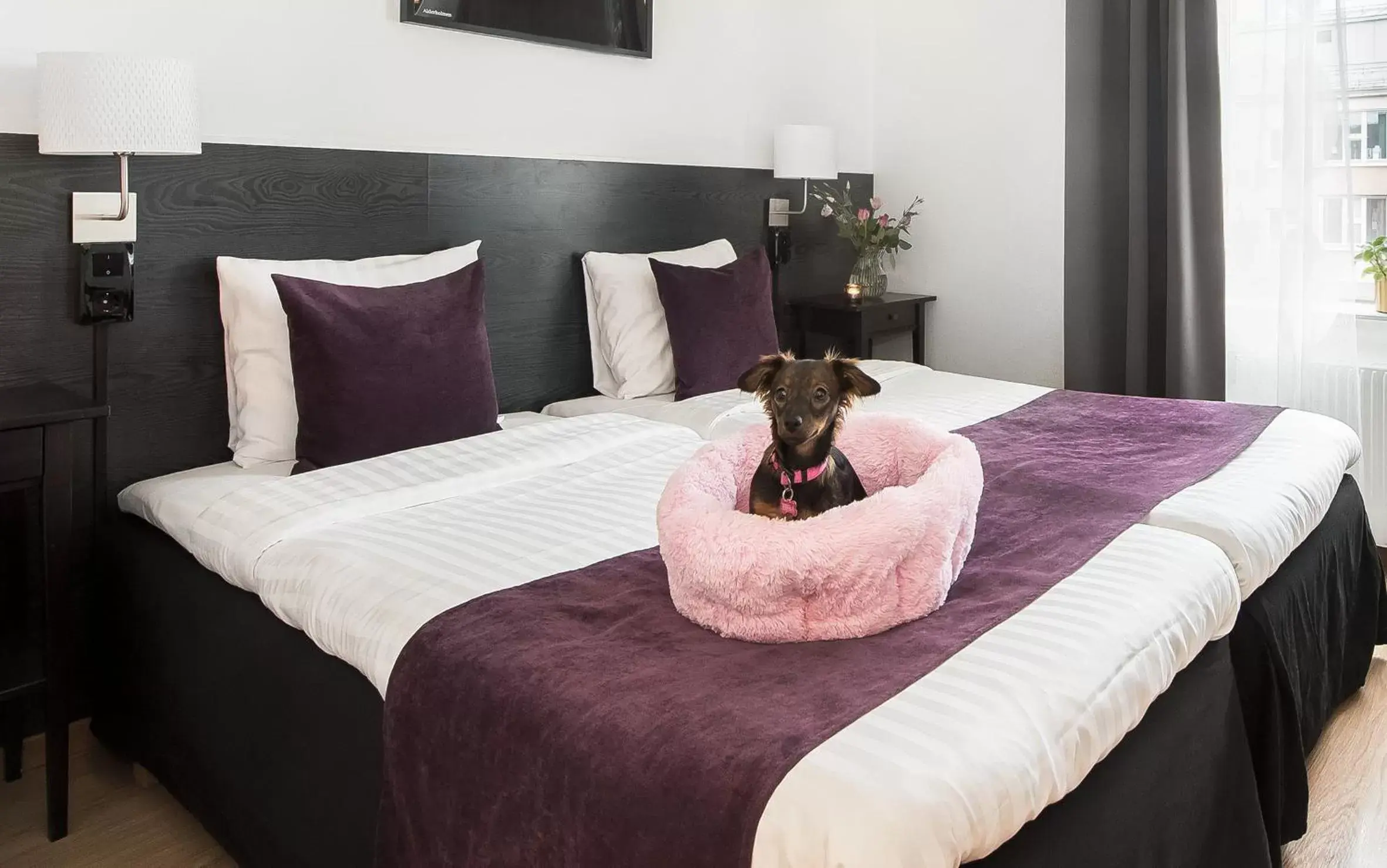 Pets, Bed in Best Western Hotel City Gavle