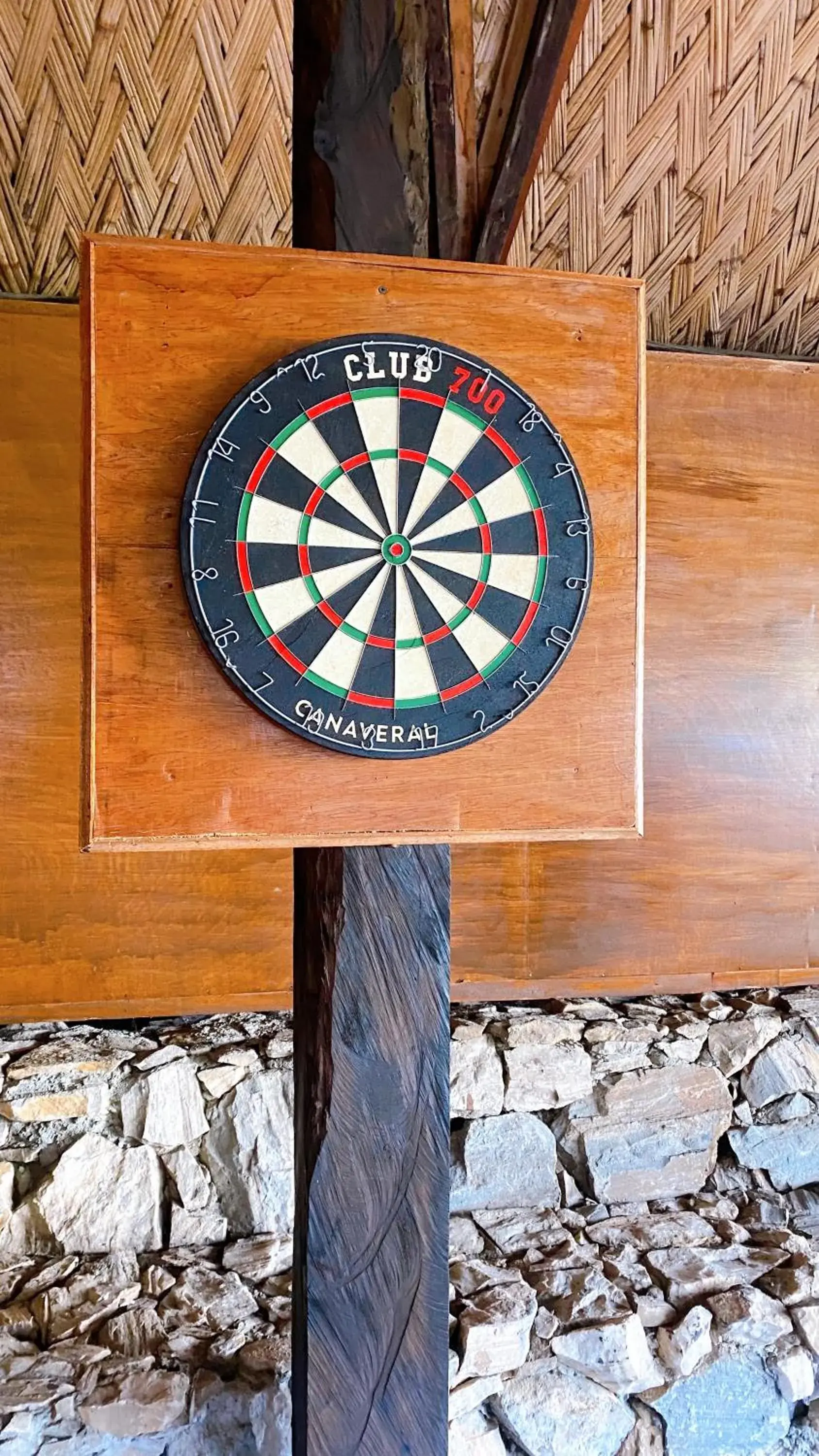 Darts in Tropicana Castle Dive Resort powered by Cocotel