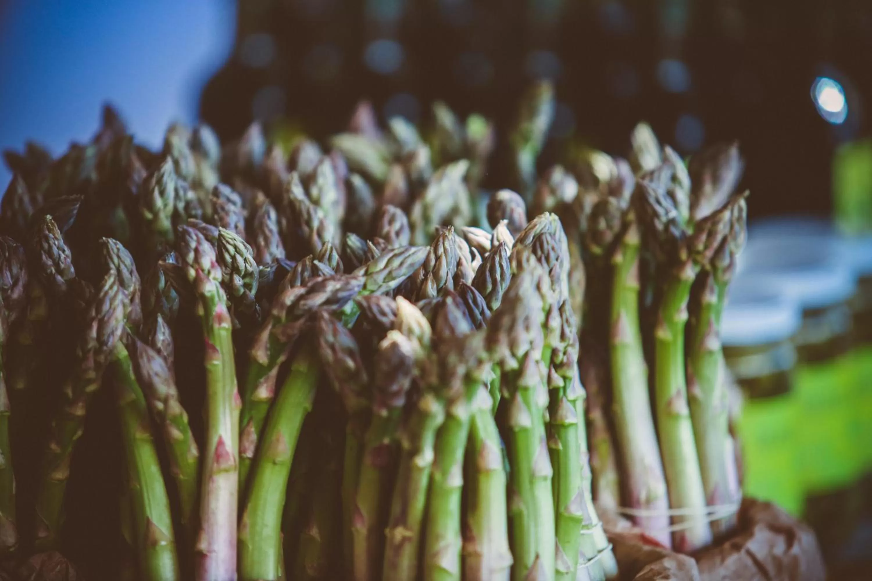 Dining area in Domaine de Salente