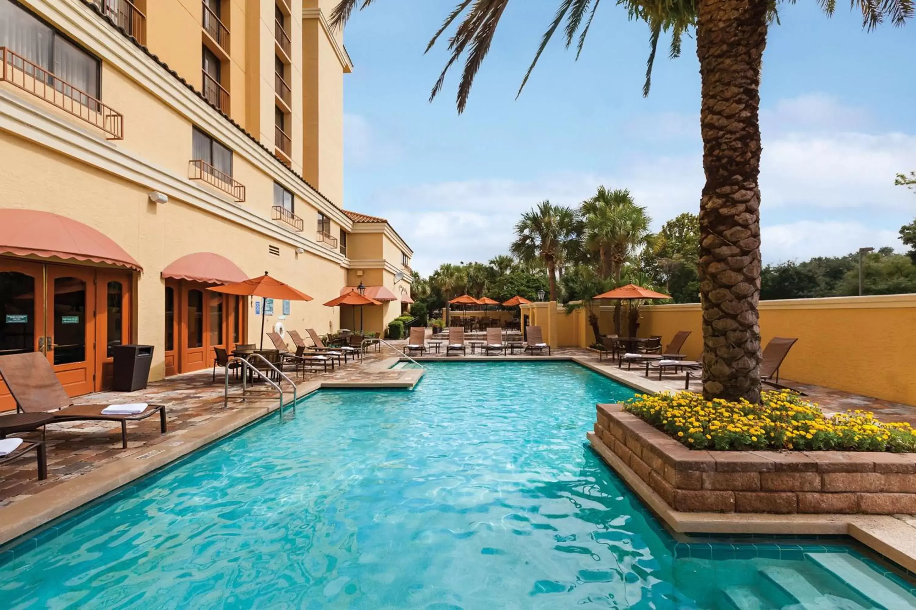 Pool view, Swimming Pool in Embassy Suites by Hilton Orlando International Drive Convention Center
