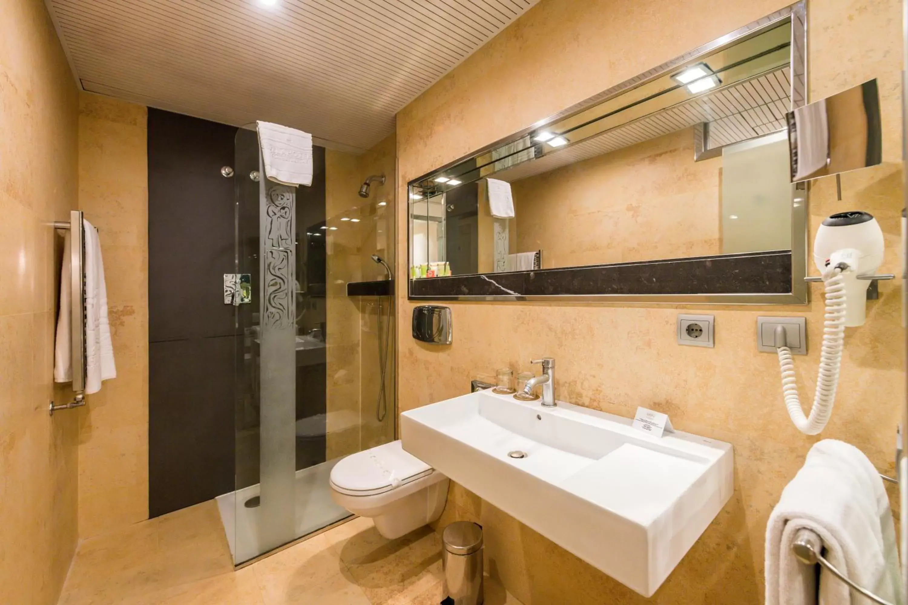 Toilet, Bathroom in Hotel Fruela