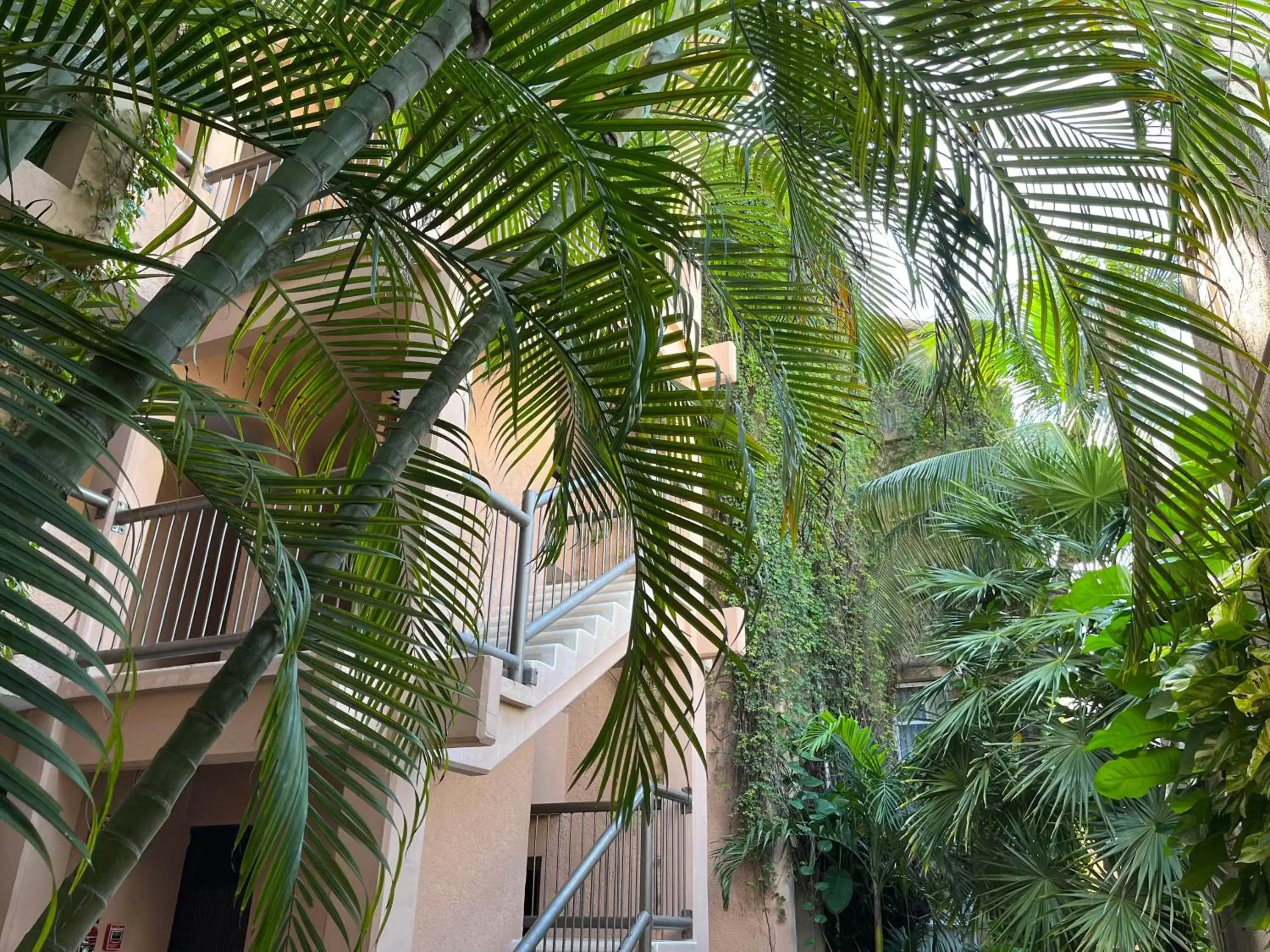 Garden view in Tukan Hotel Playa del Carmen