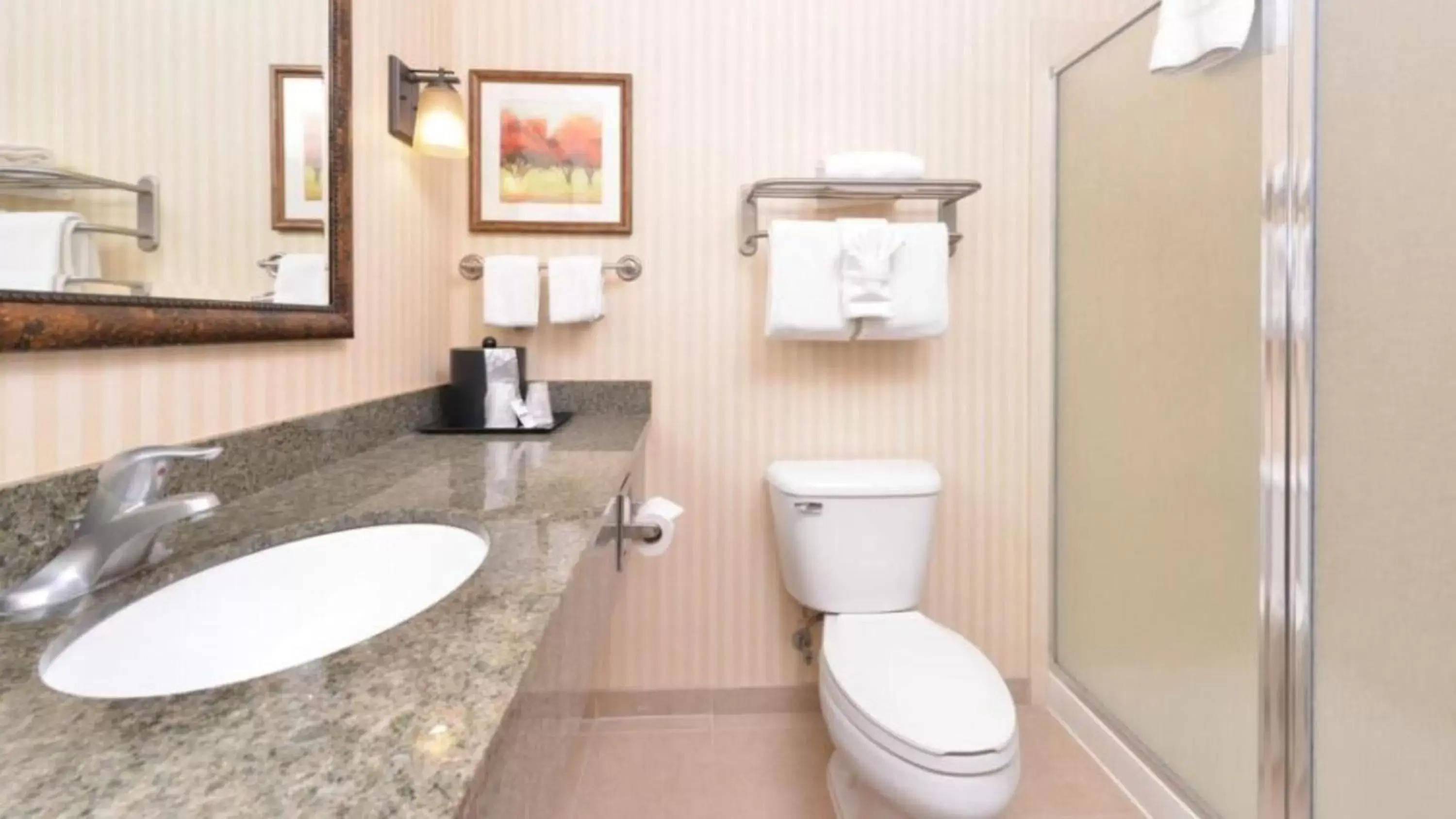 Bathroom in Holiday Inn Express Rawlins, an IHG Hotel