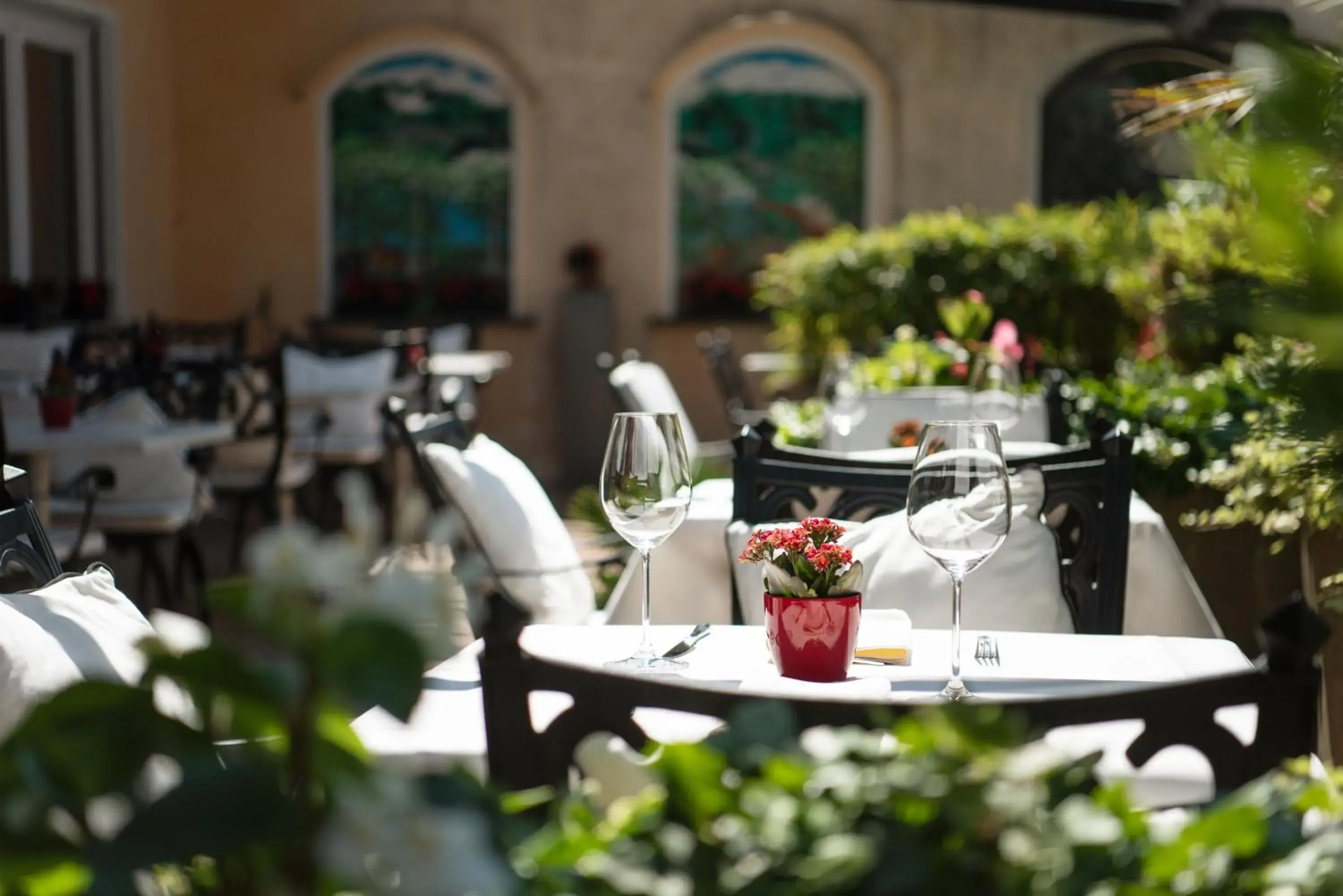 Patio, Restaurant/Places to Eat in Hotel Polo