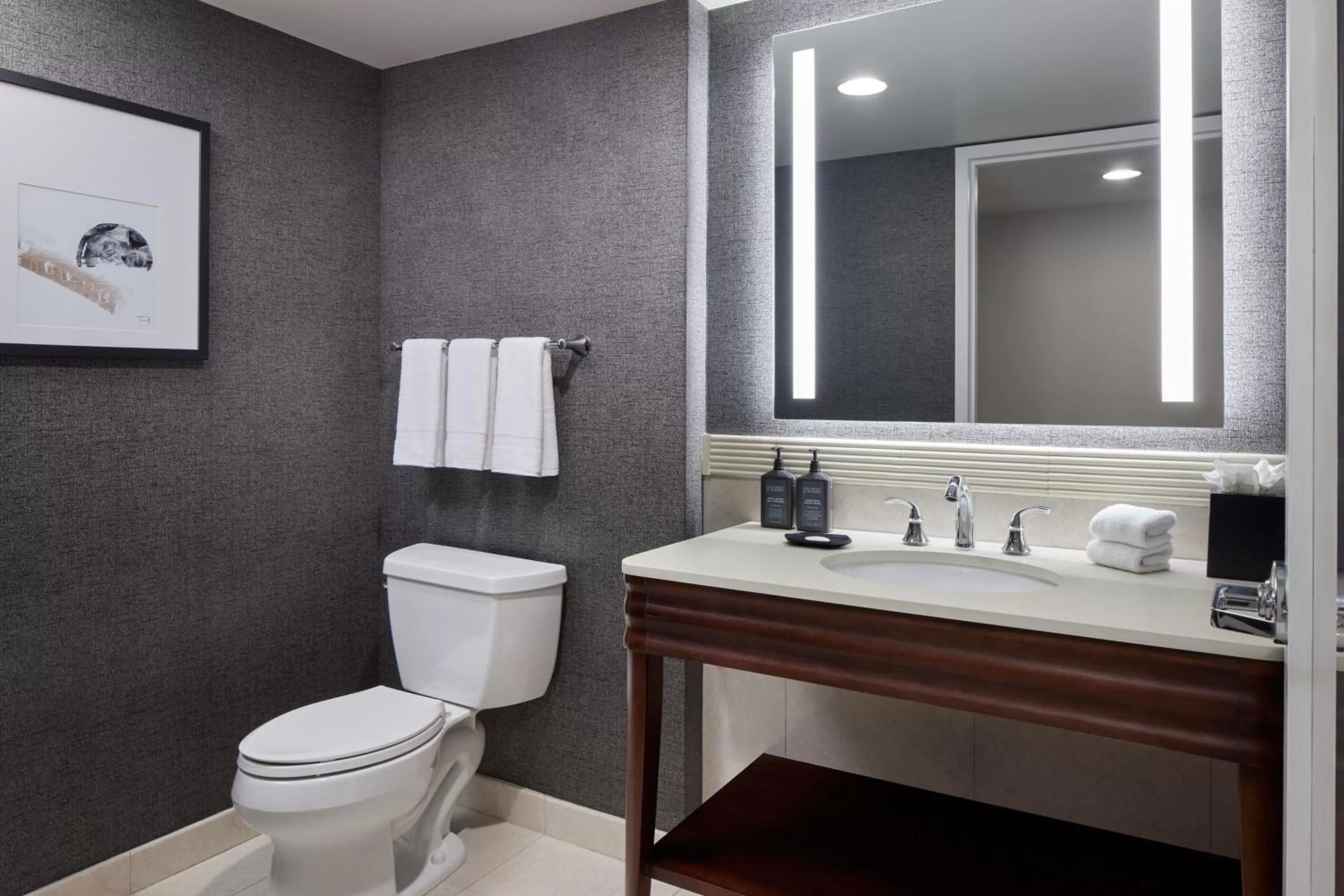 Bathroom in Sheraton Valley Forge King of Prussia