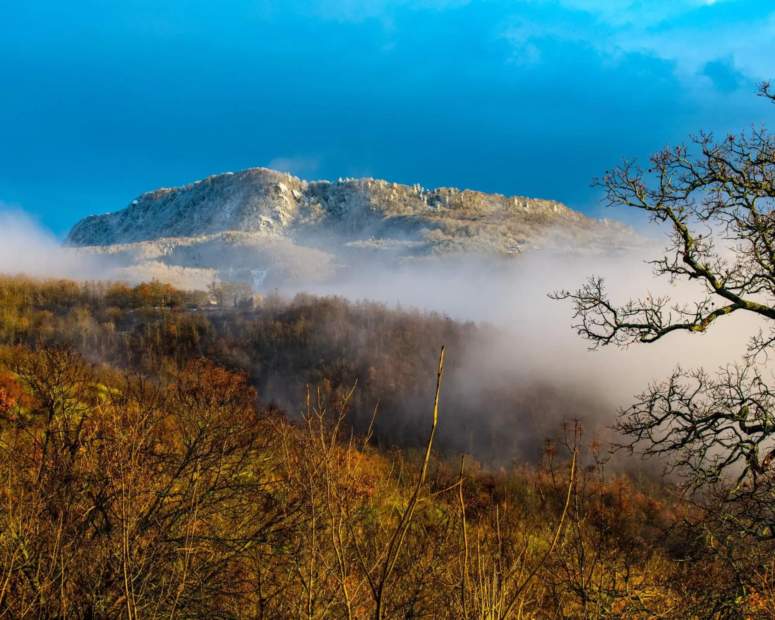 Natural Landscape in novanta nature retreat