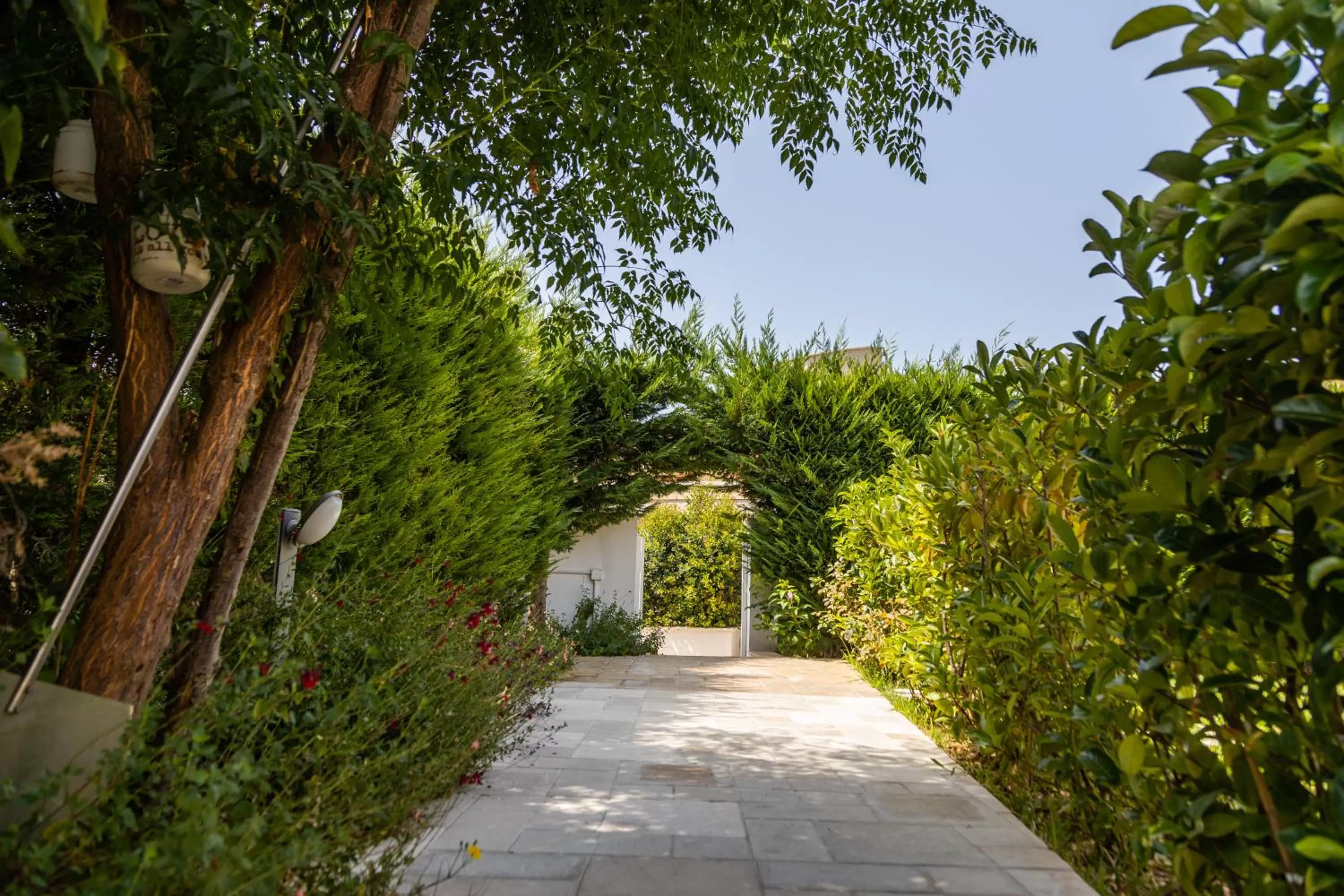 Breakfast in La Collina di Montegrappa - Suites with Heated Private Pool - Suites with Shared Pool