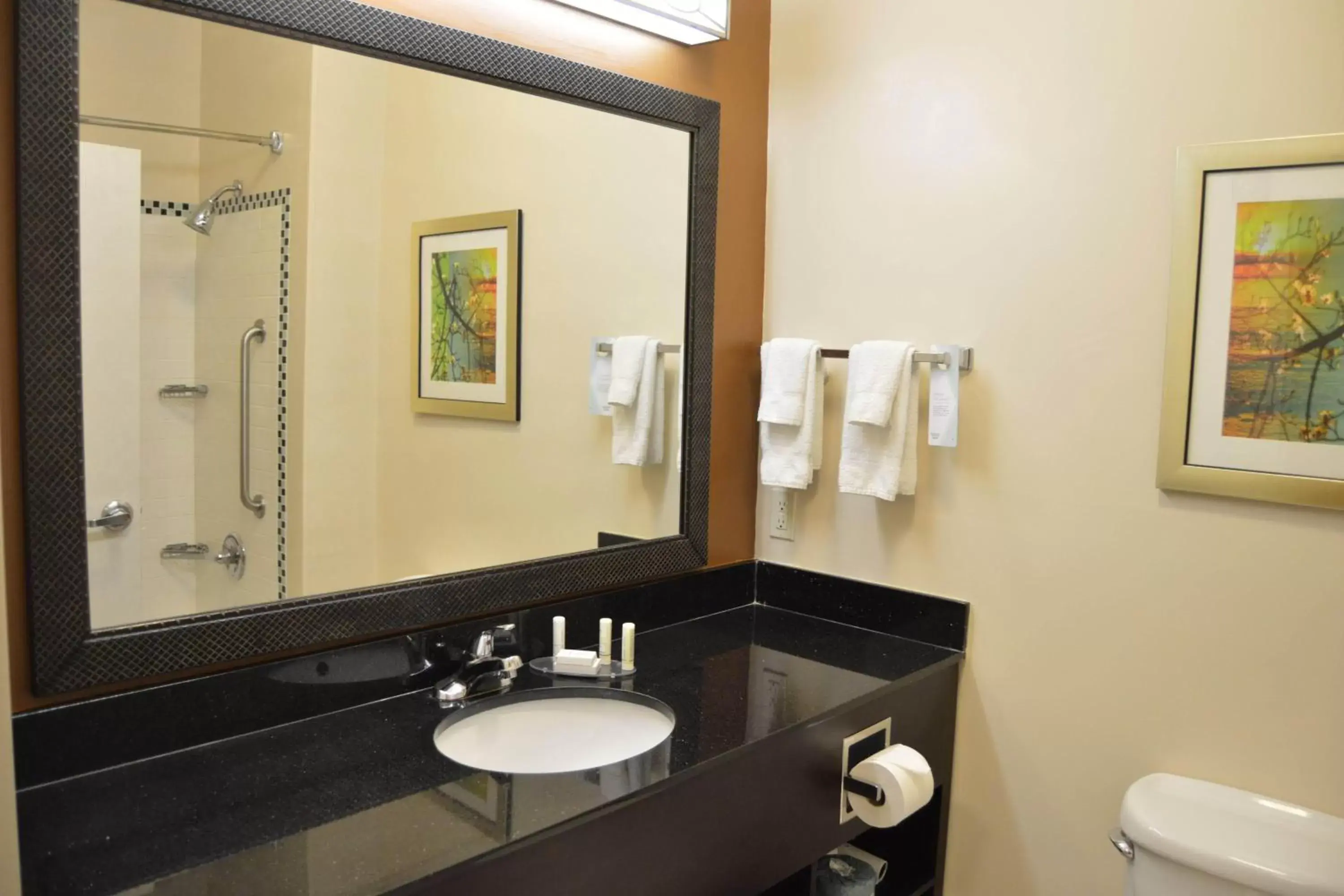 Bathroom in Fairfield Inn & Suites Houston Channelview