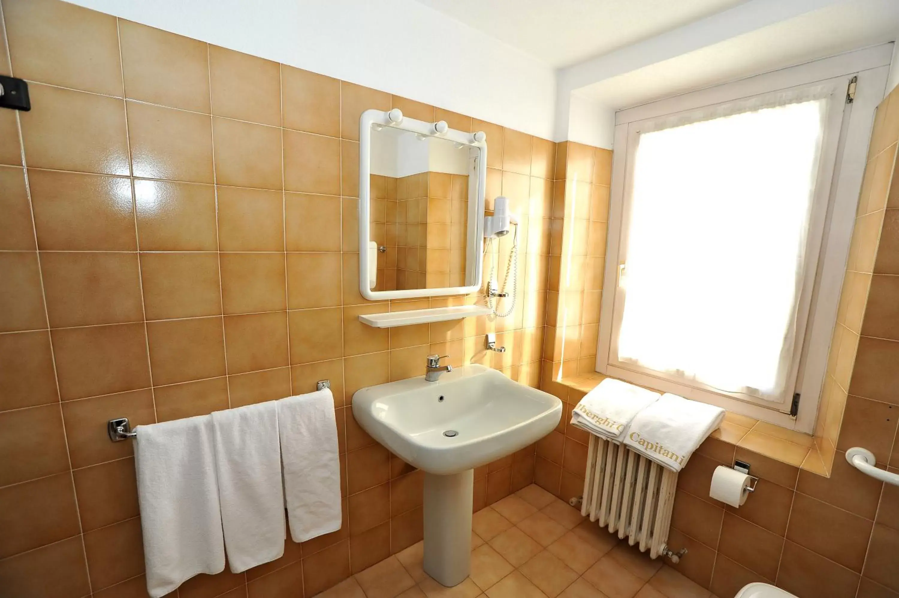 Day, Bathroom in Hotel Capitani