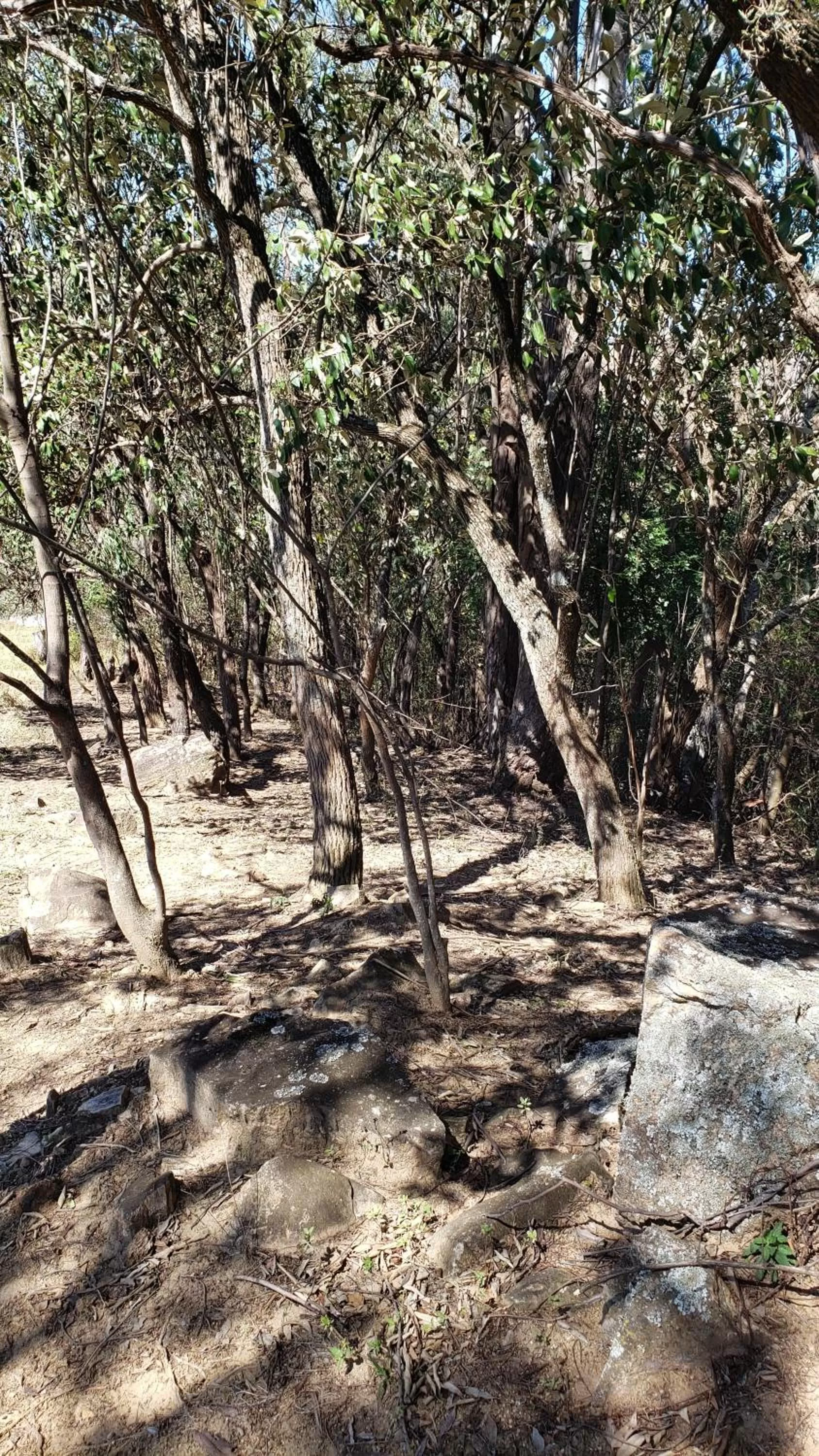 Hiking in Pousada Solar da Montanha