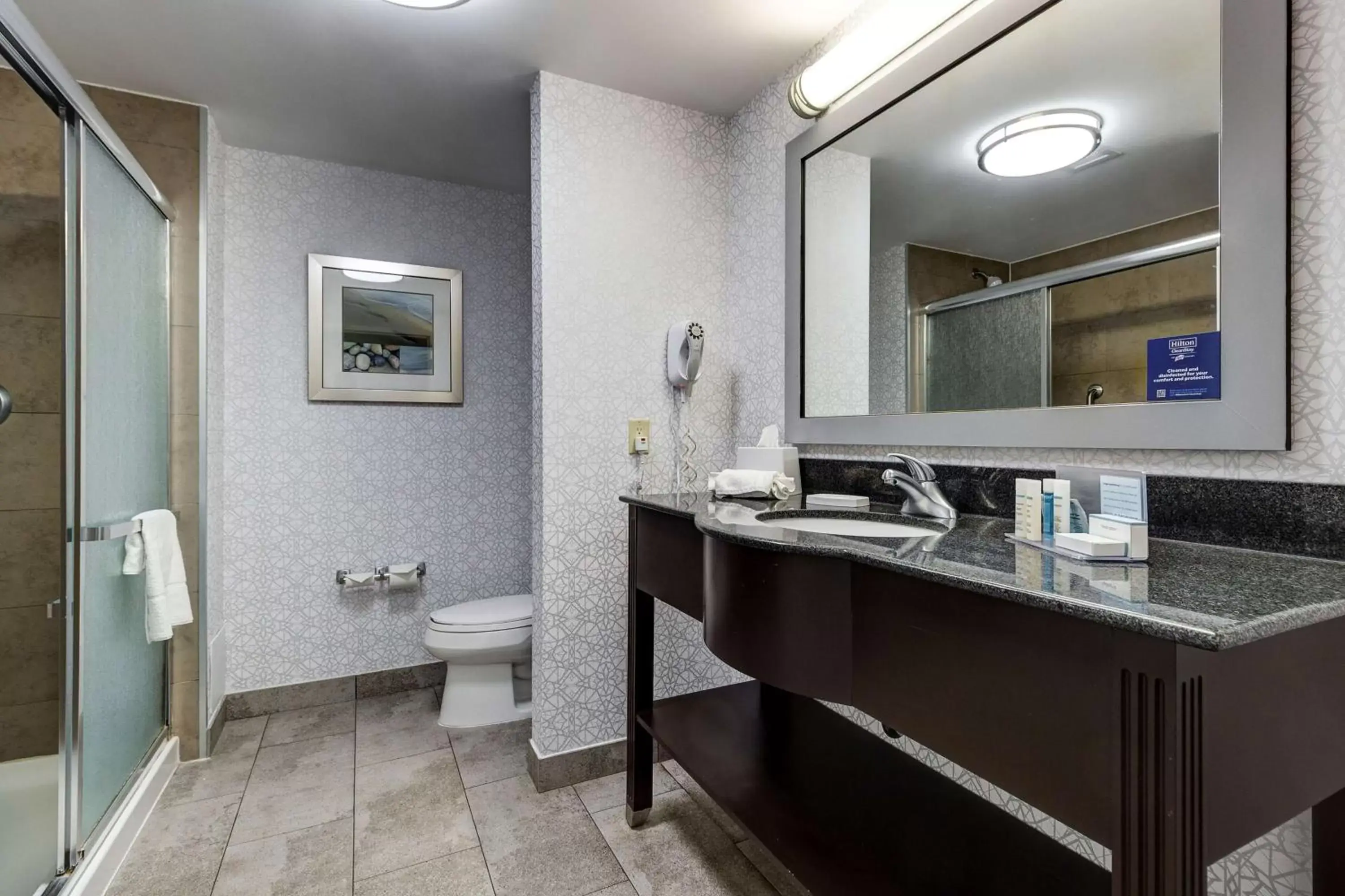 Bathroom in Hampton Inn & Suites by Hilton Brantford