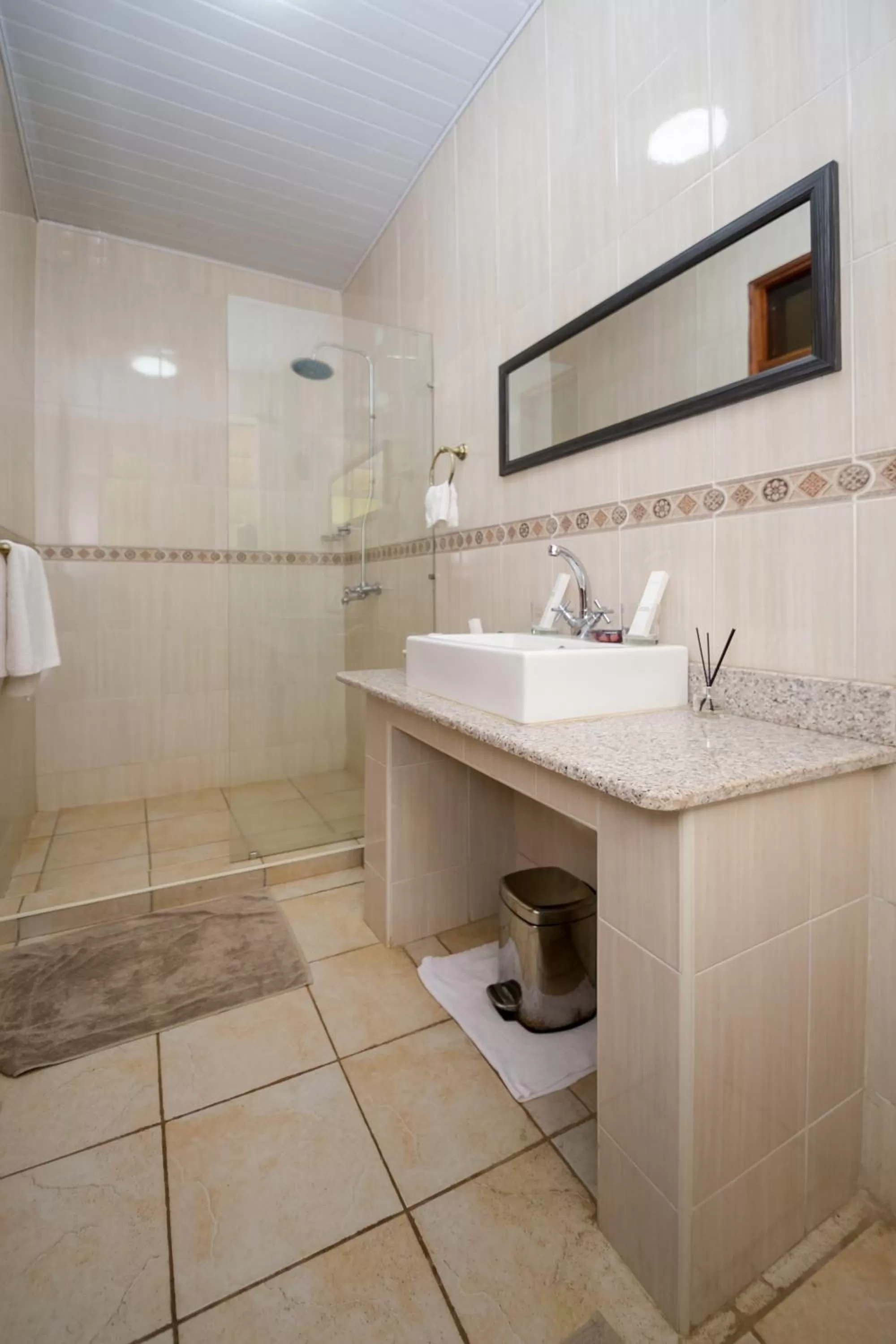 Shower in Hotel Rudi