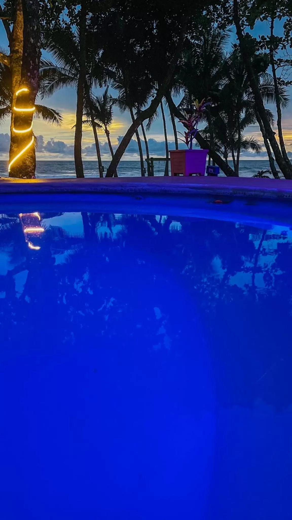 Natural landscape in Hotel Beachfront Vista Hermosa