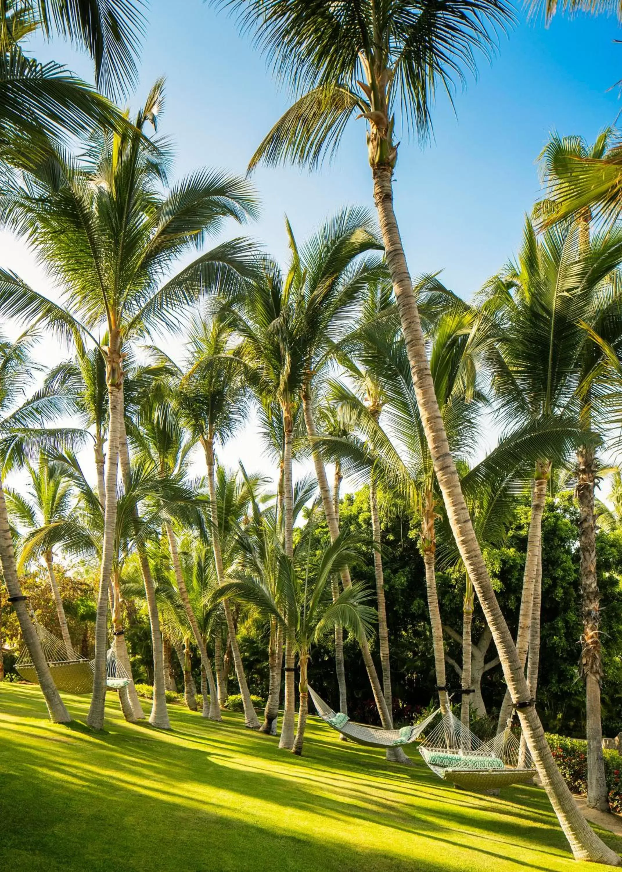 Natural landscape in One&Only Palmilla