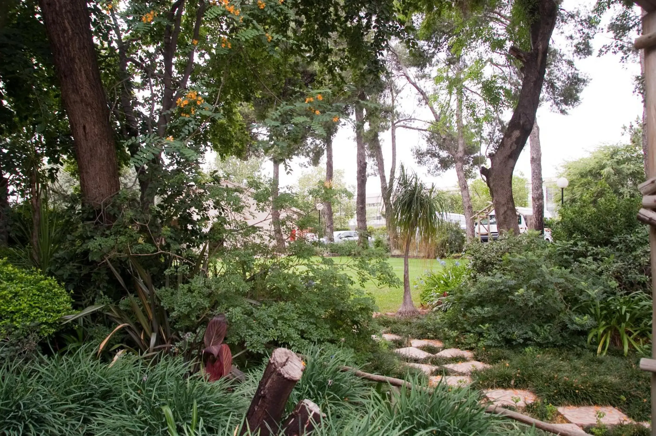 Natural landscape, Garden in CedarWoods of Sandton