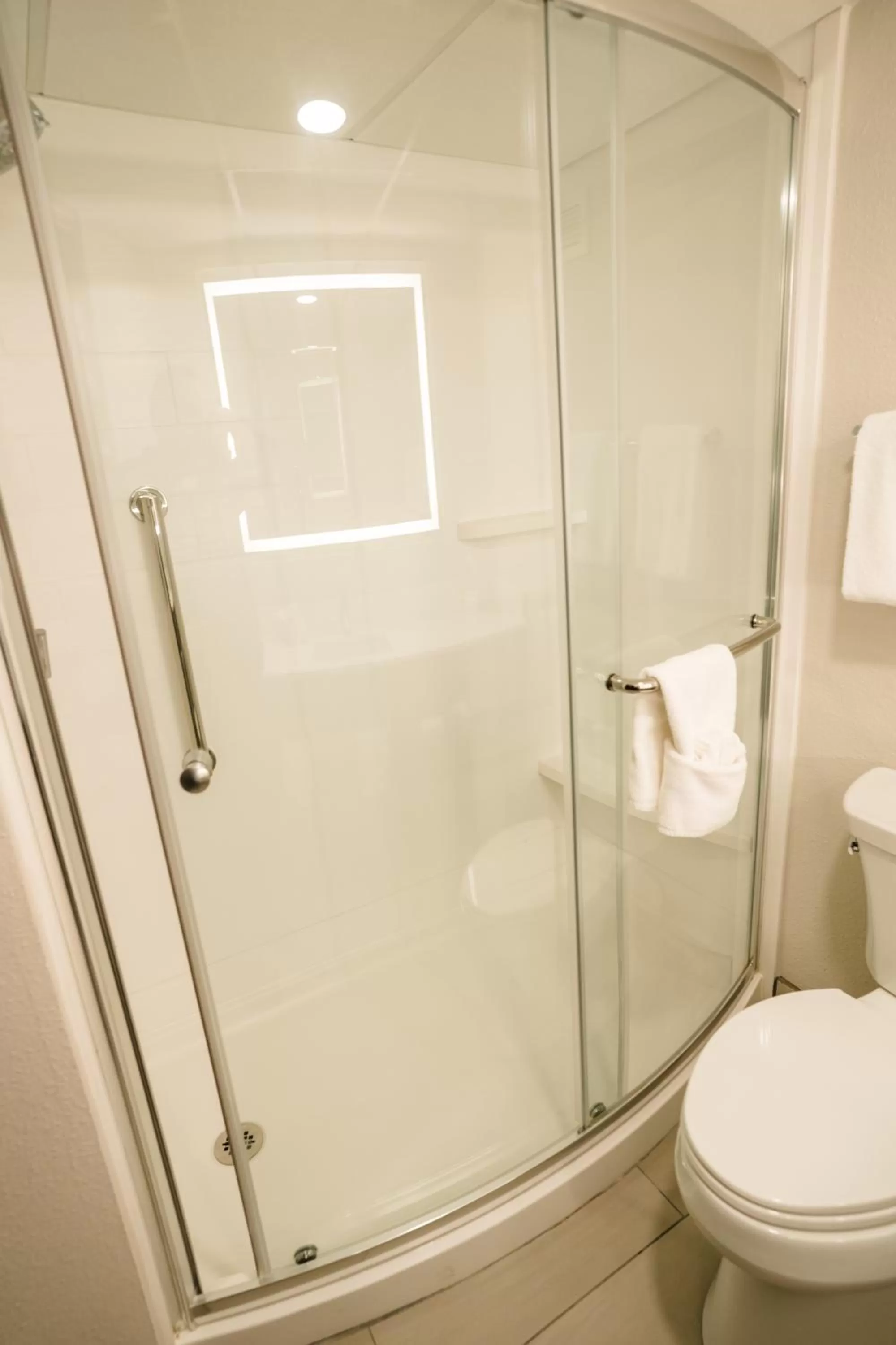 Shower in Holiday Inn Express Hotel & Suites Knoxville-North-I-75 Exit 112 by IHG