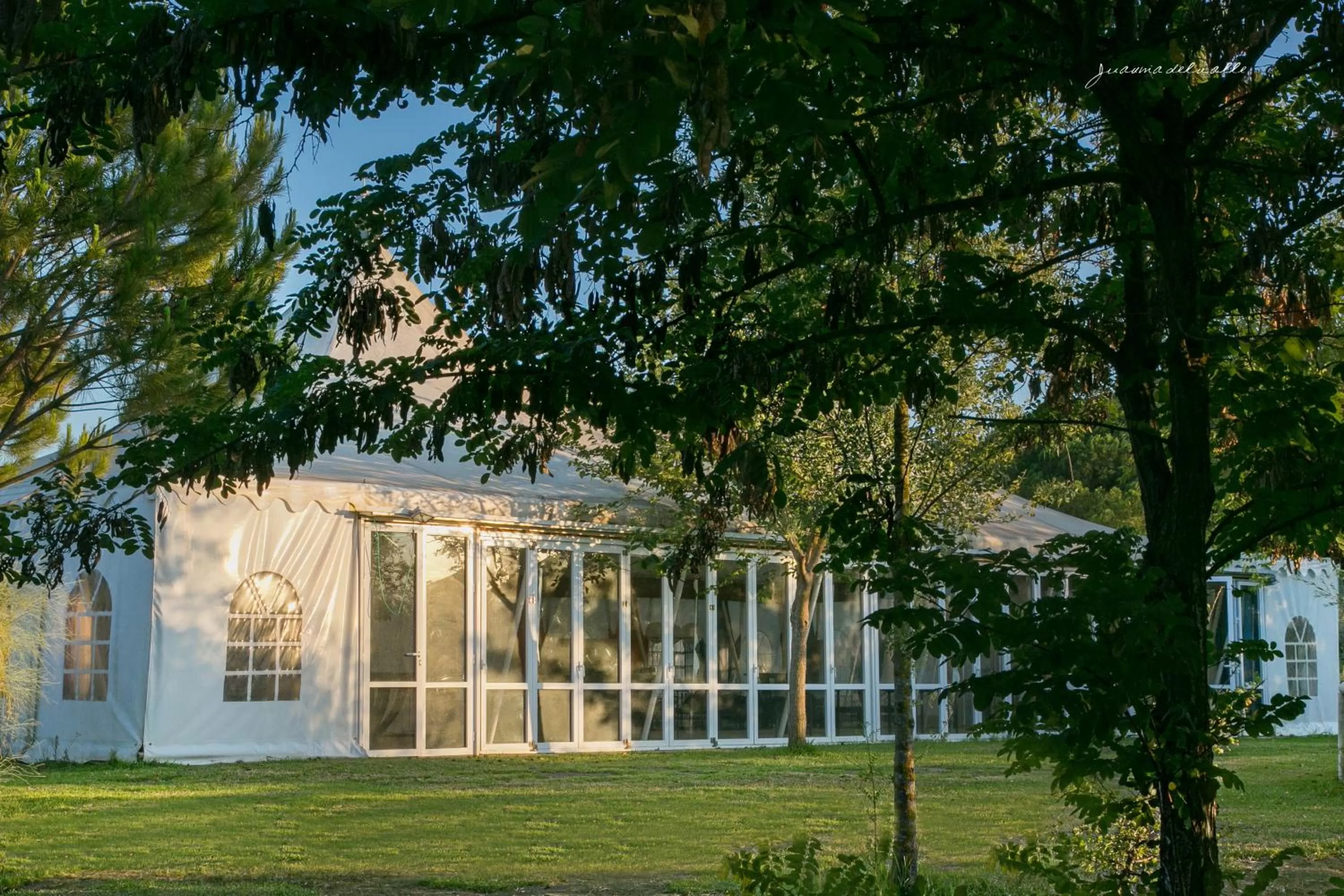 Banquet/Function facilities in Ardea Purpurea