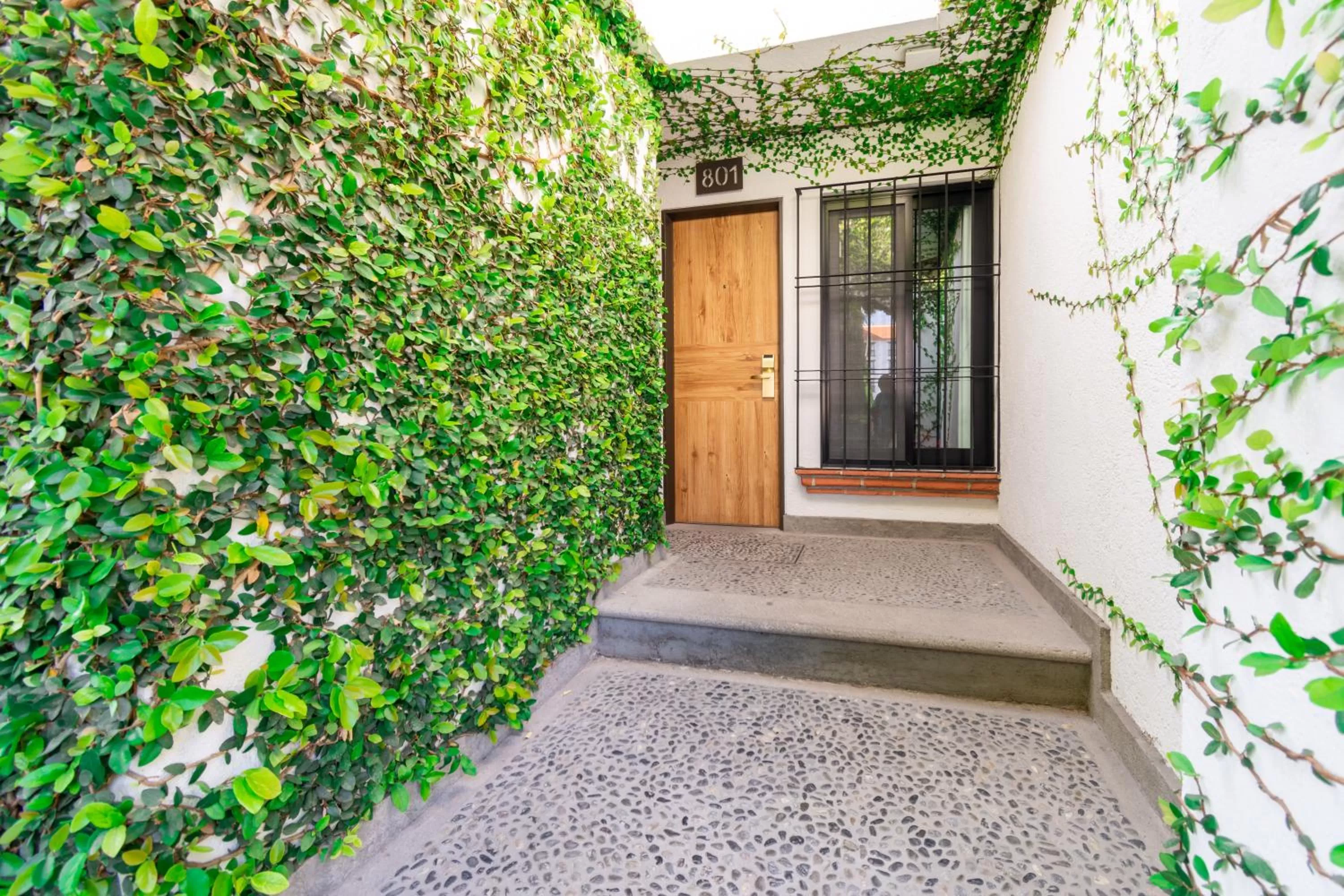 View (from property/room) in Hotel Flamingo Inn