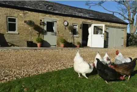Animals, Property Building in Bridleway Bed & Breakfast