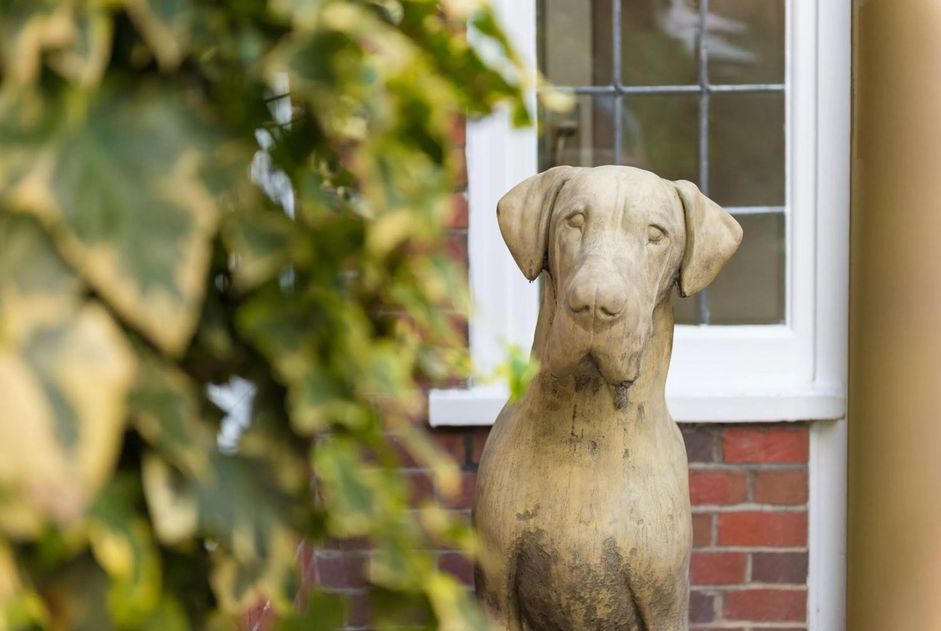 Garden in The Crown Manor House Hotel