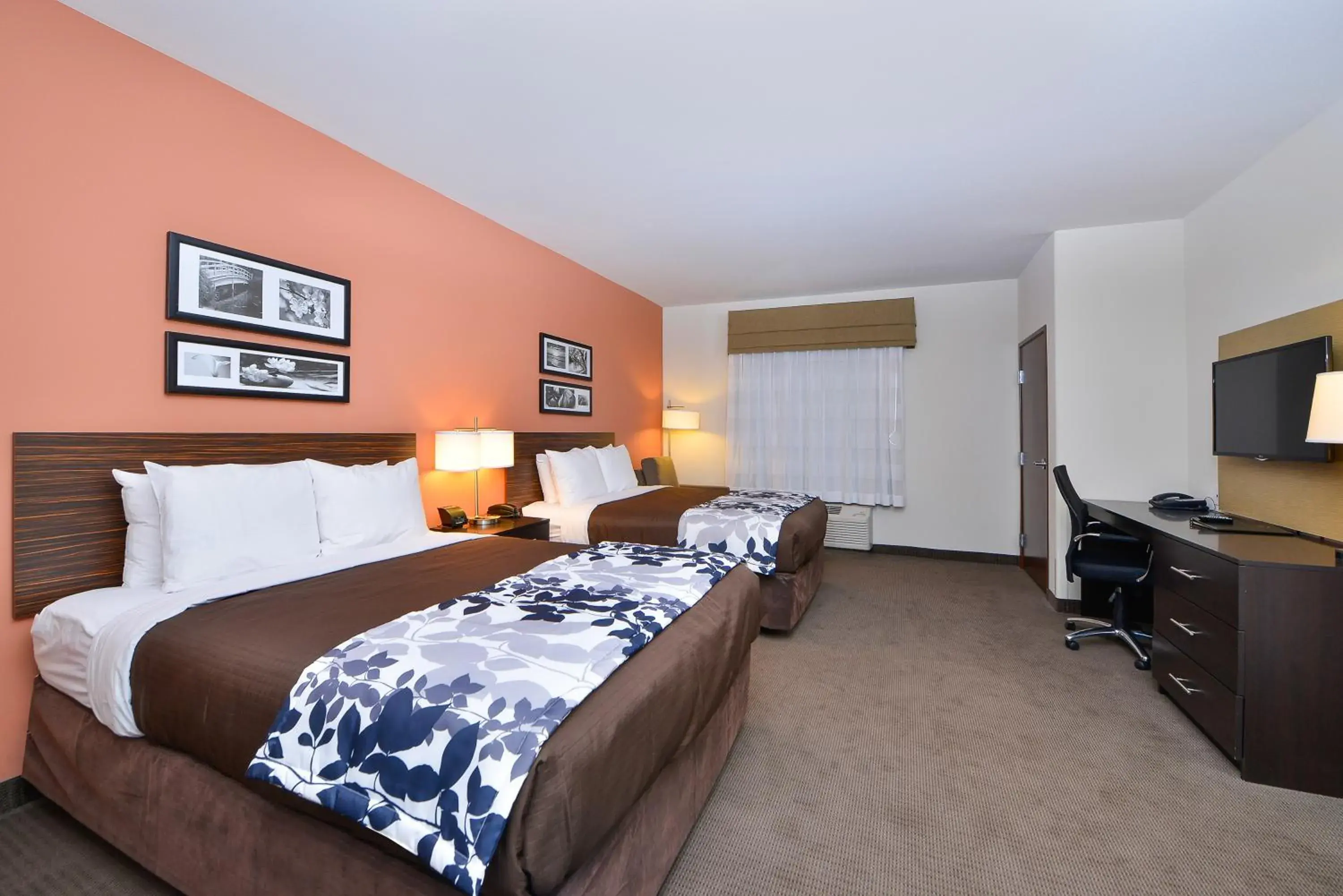 Photo of the whole room, Bed in Sleep Inn & Suites Austin – Tech Center Photo of the whole room, Bed in Sleep Inn & Suites Austin – Tech Center