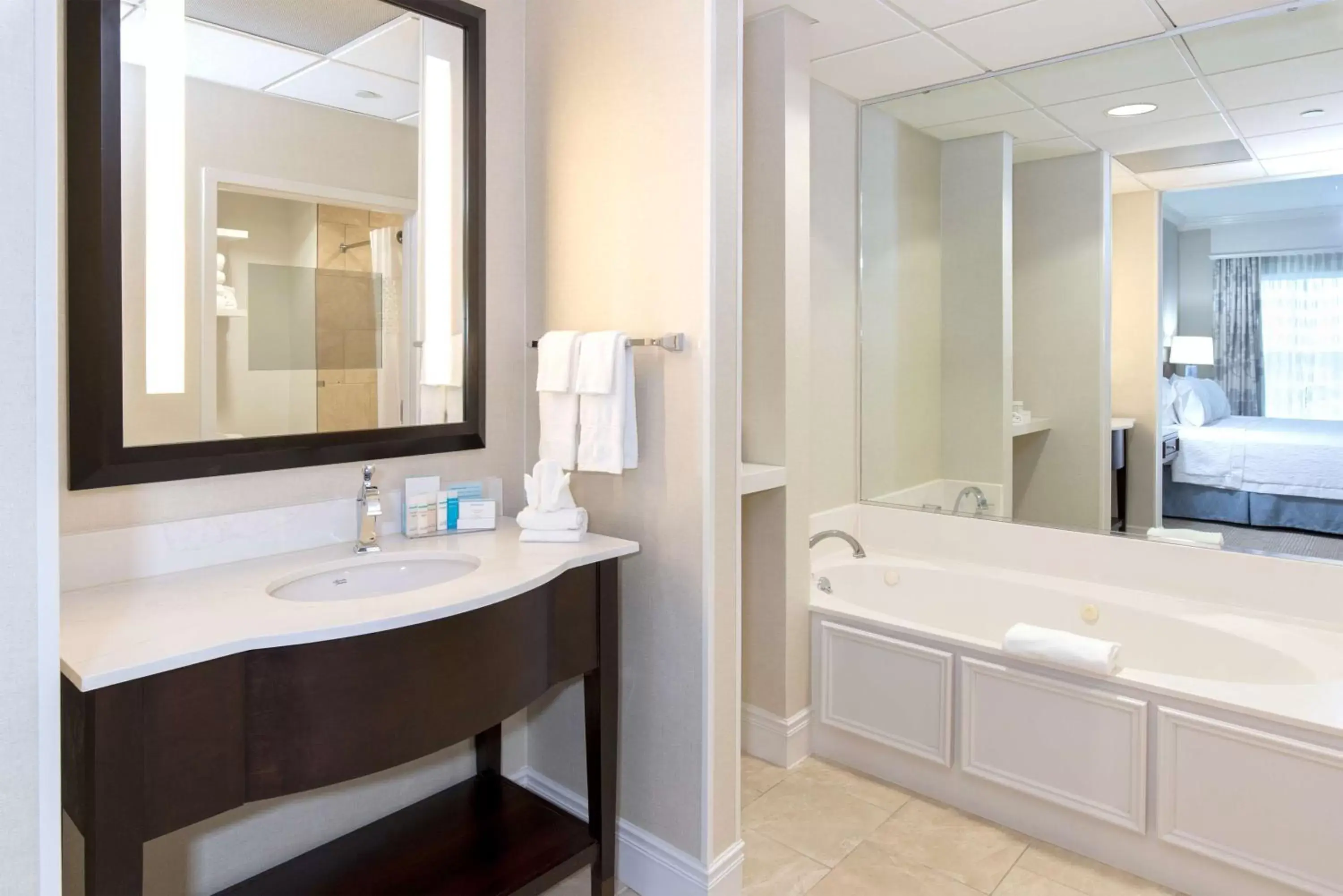 Bathroom in Hampton Inn & Suites South Park at Phillips Place