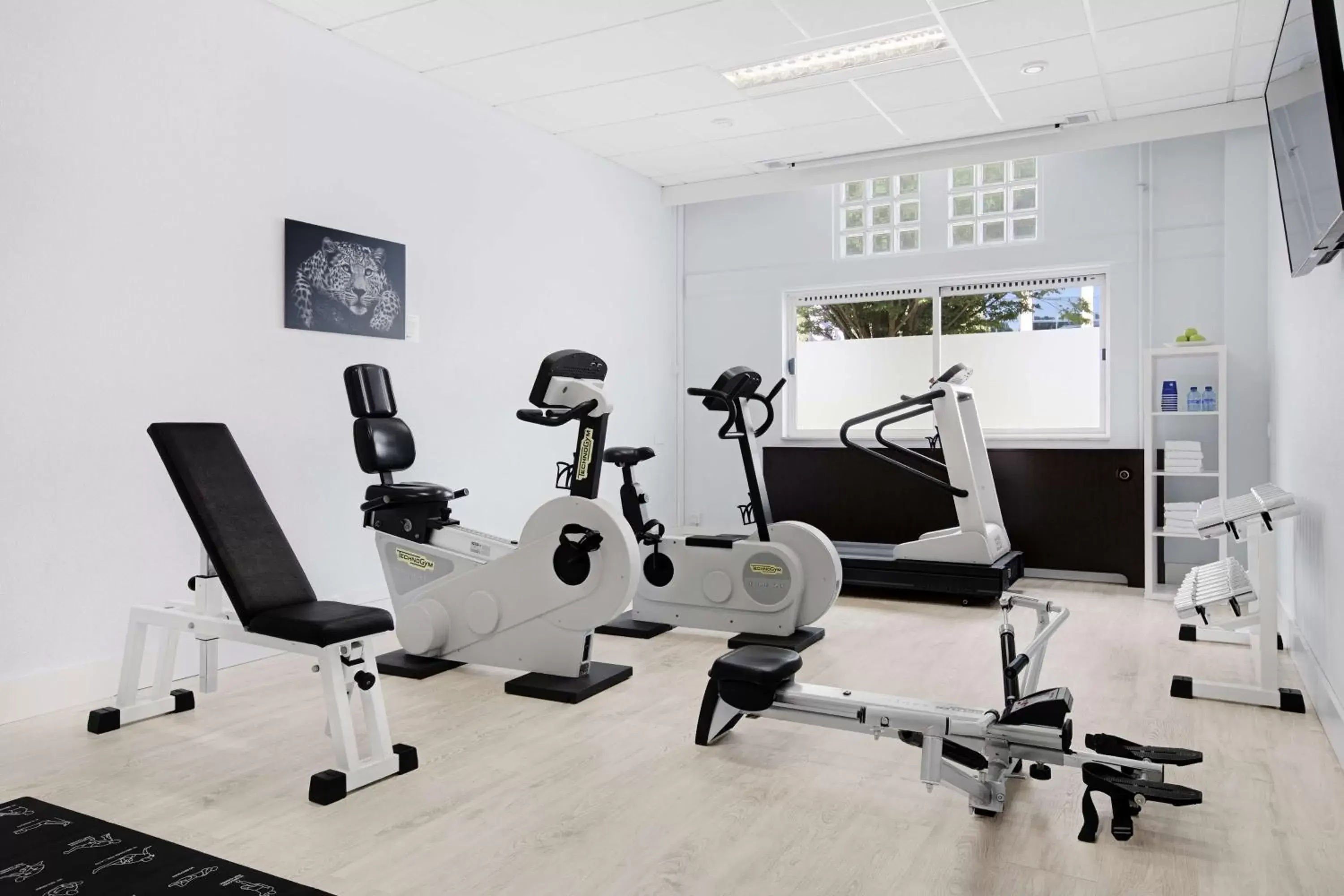 Activities, Fitness Center/Facilities in NH Capelle Rotterdam