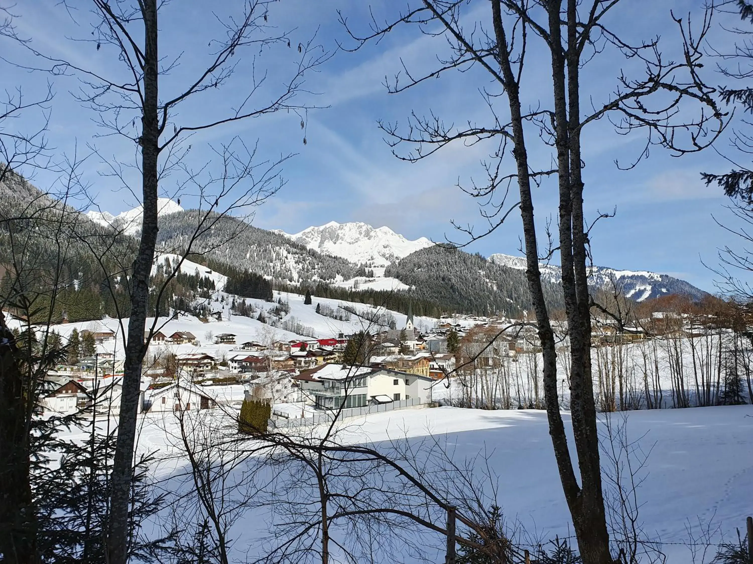 Winter in Alpenhof