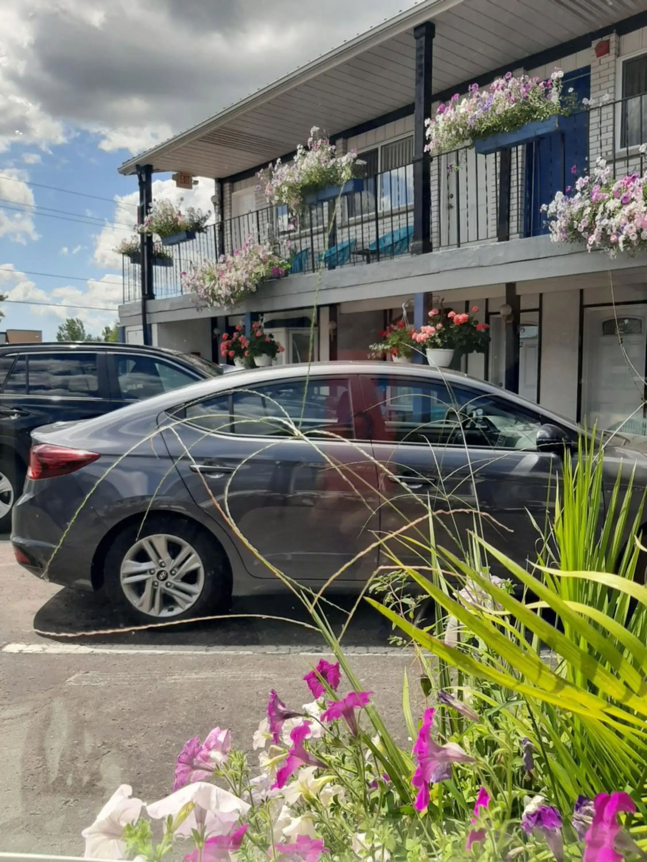 Property Building in Blue Moon Motel