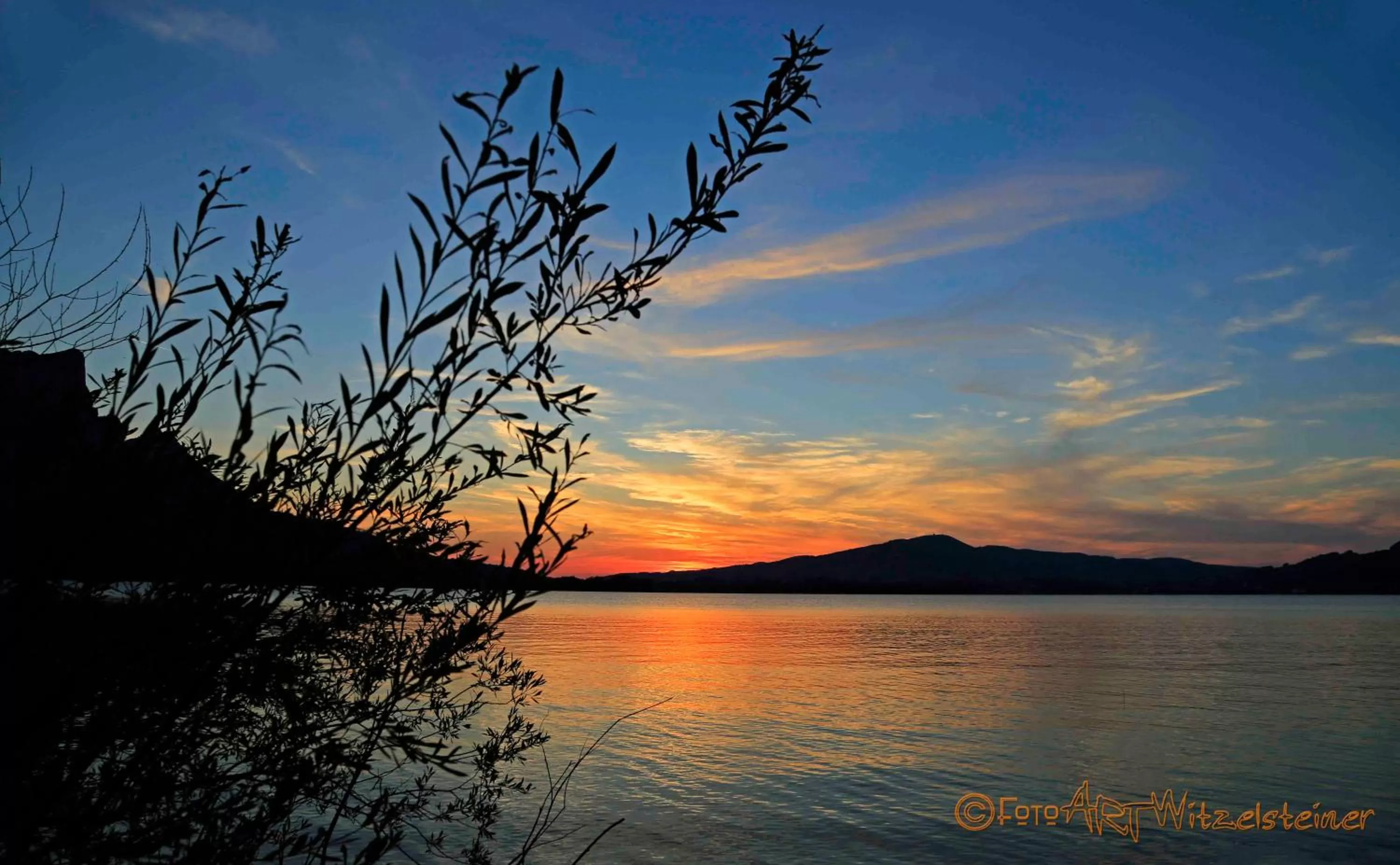Natural landscape in Hotel Krone